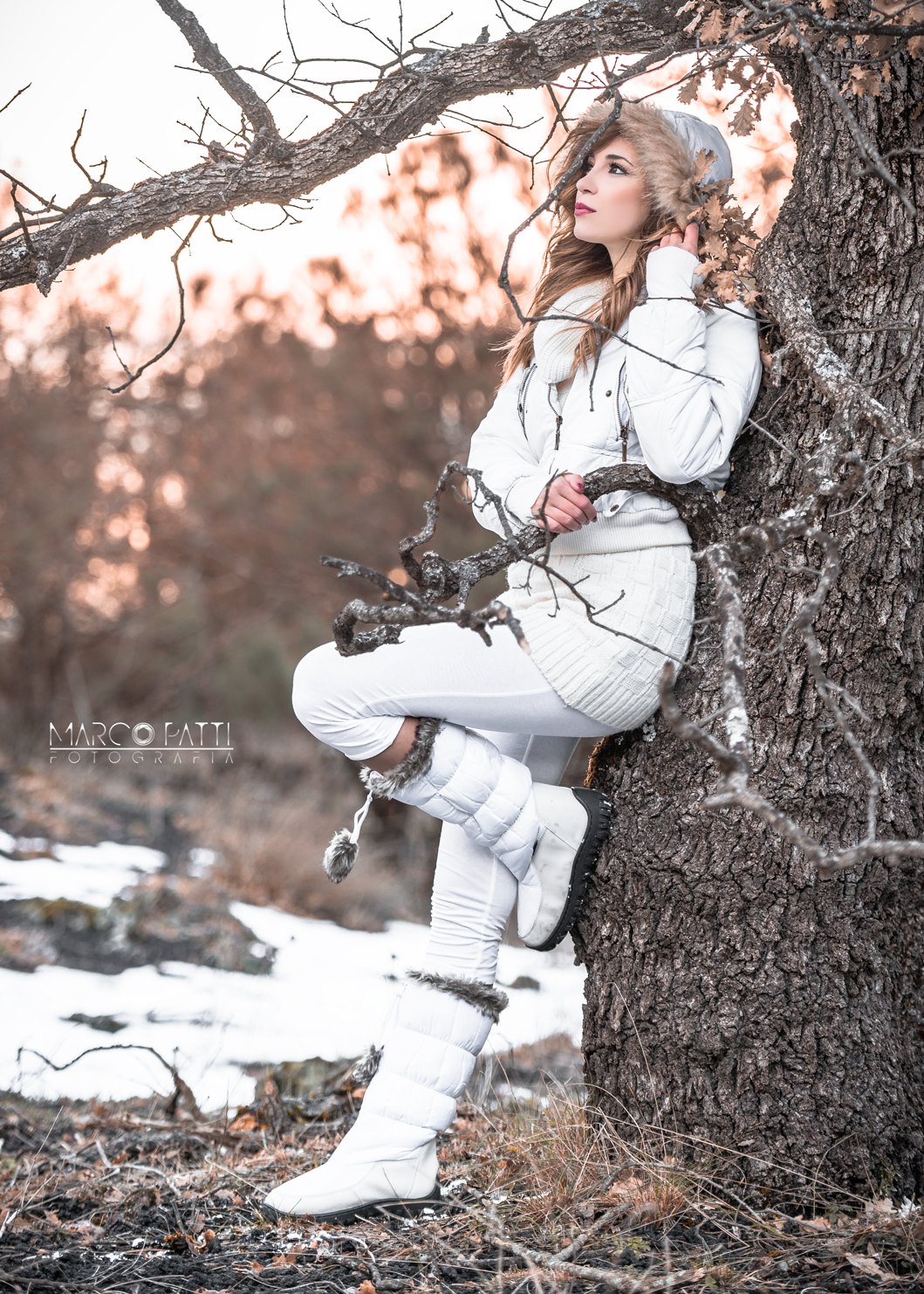 La signora delle nevi