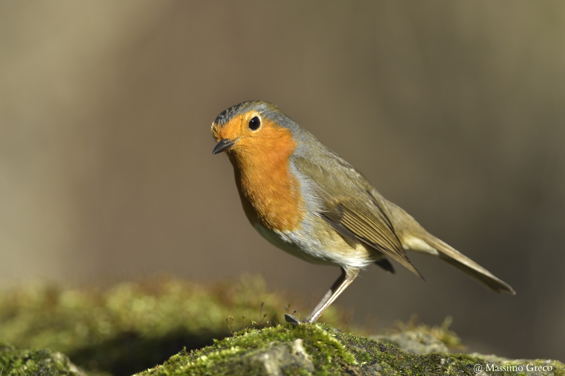 Ma... dici a me..???