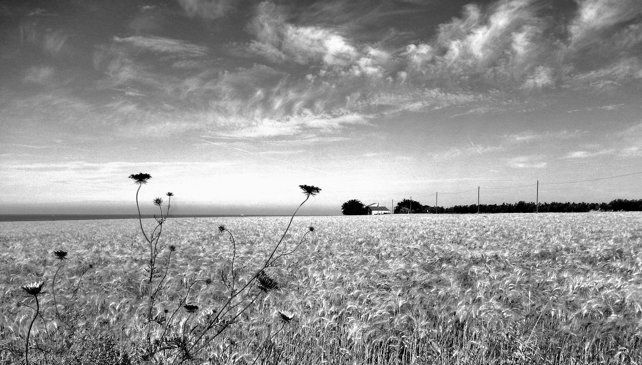 Tranquillo Pomeriggio d'Estate