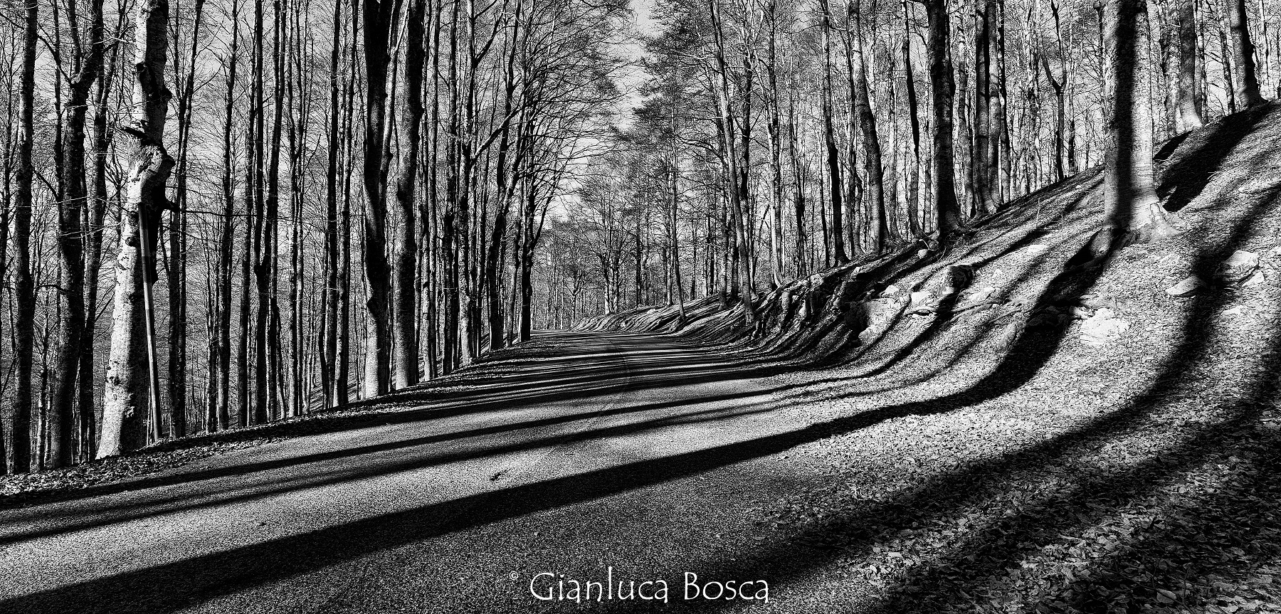Forca d'Acero in black and white