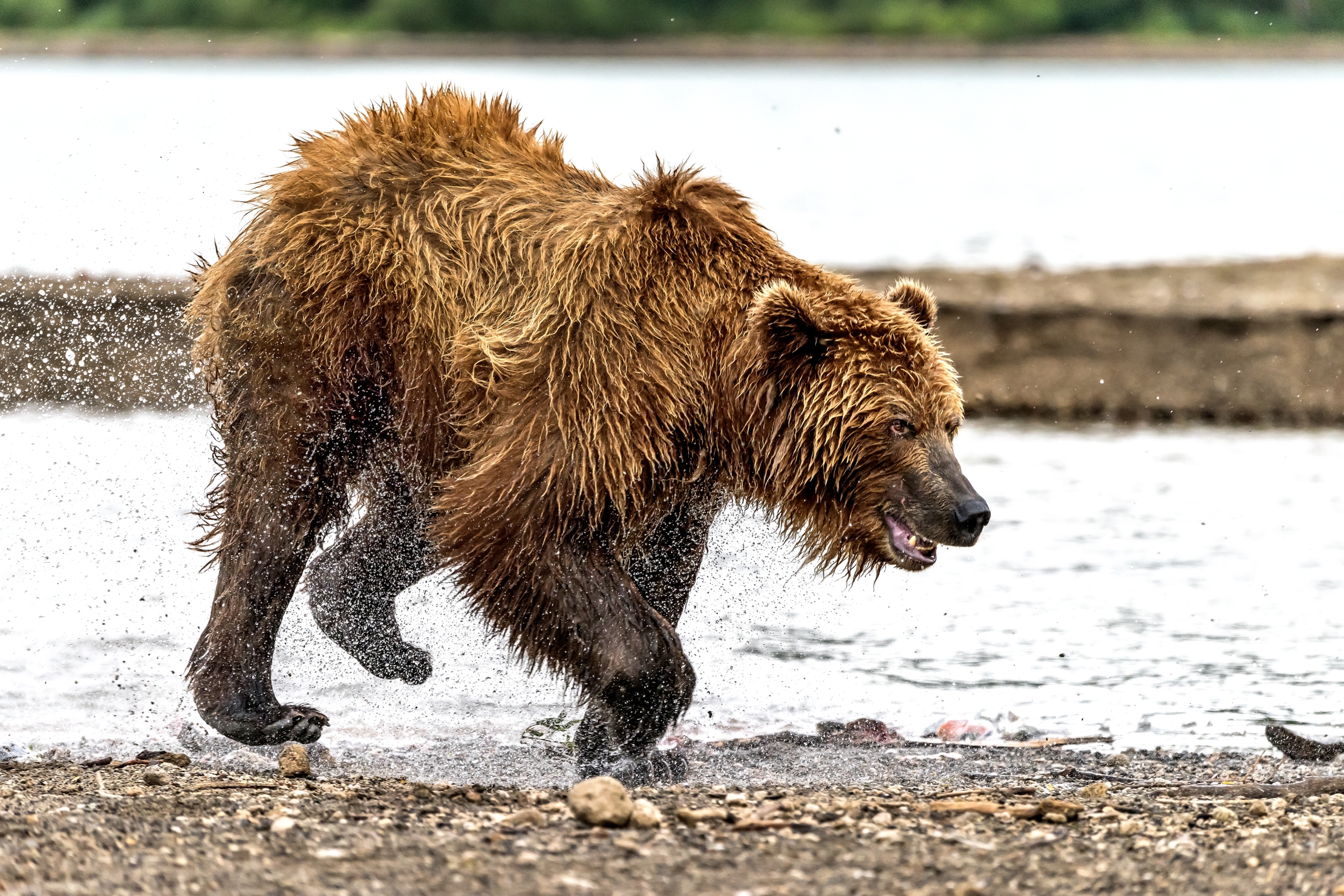 Kamchatka 2016 - Jogging