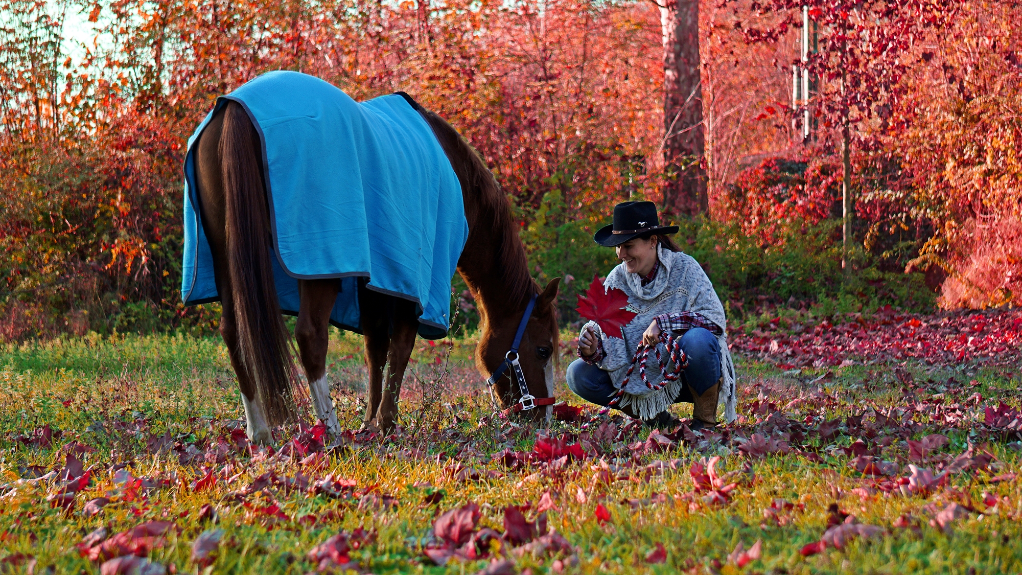 Colors of the season