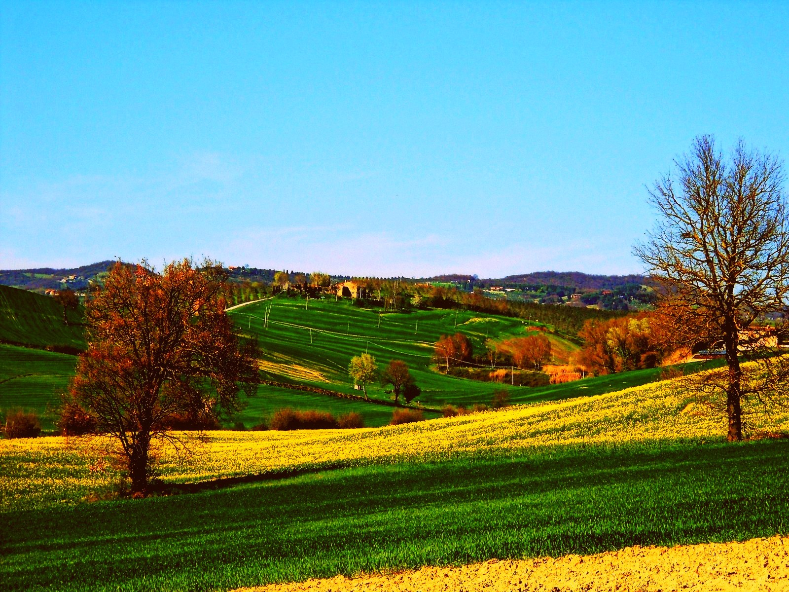 yellow land  hdr