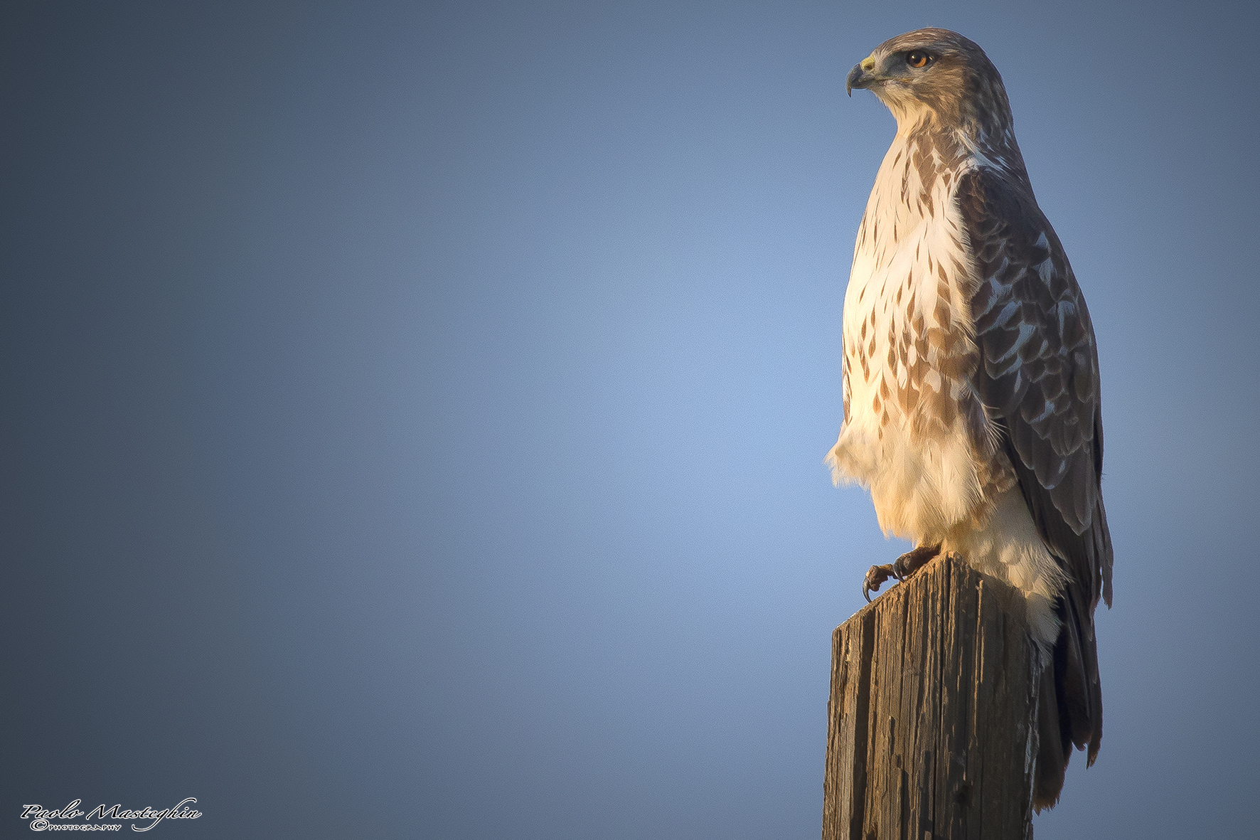 La Poiana si gode il tramonto...