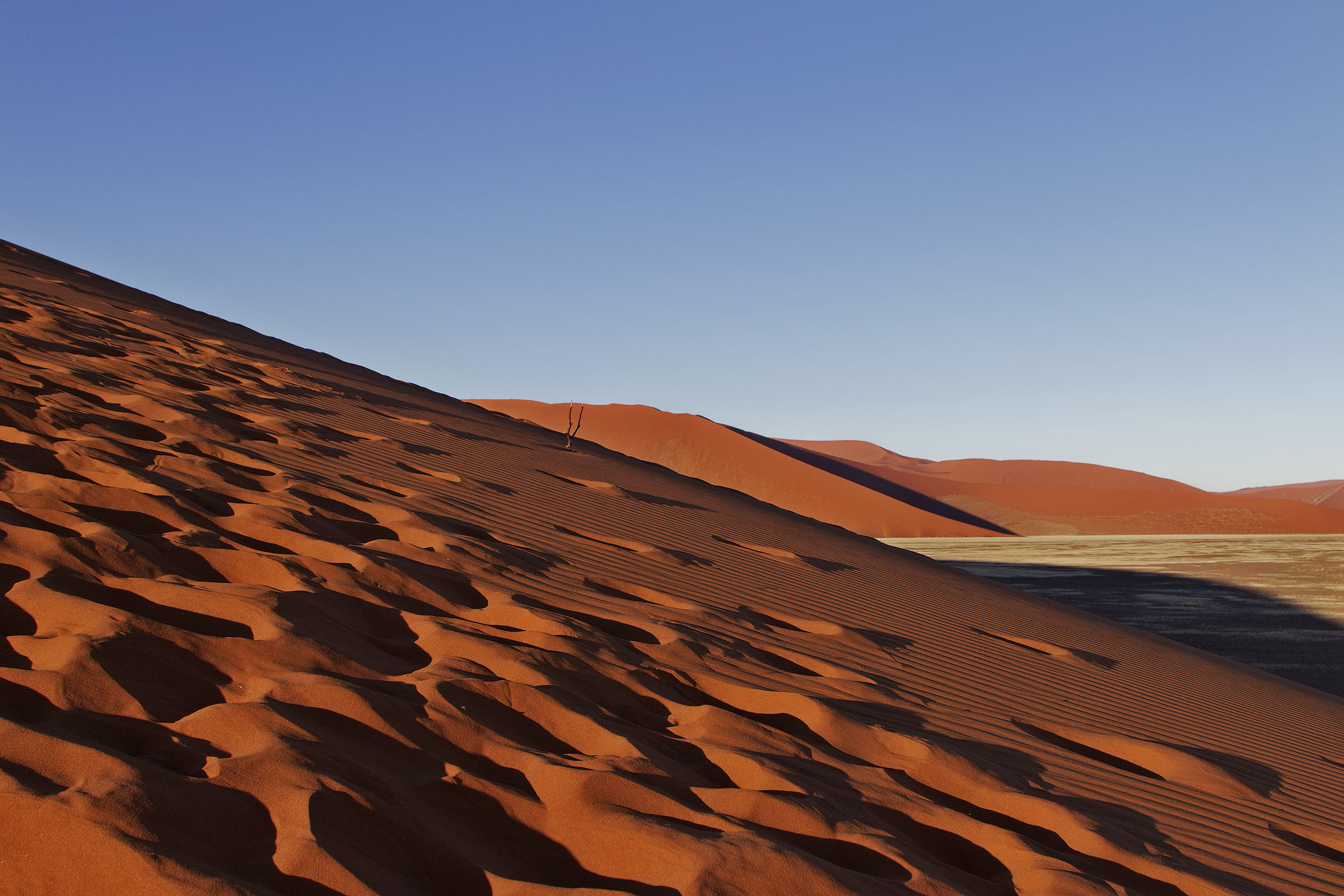 The wind will erase all