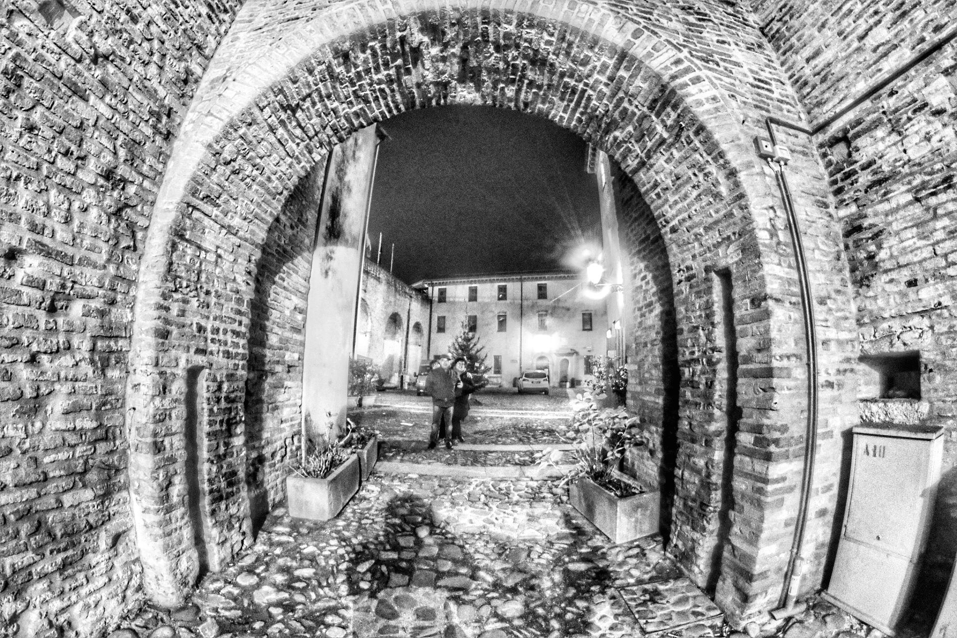 ..un passo dalla corte..versione B/N