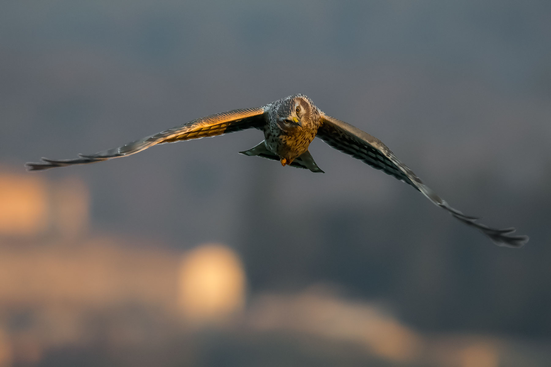 When you look at me like that ...