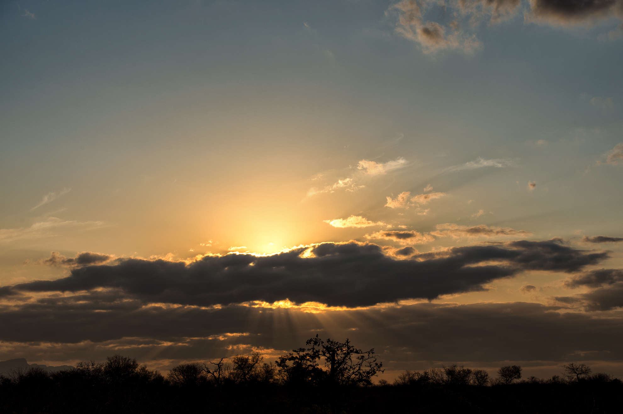 Kruger Park at sunset