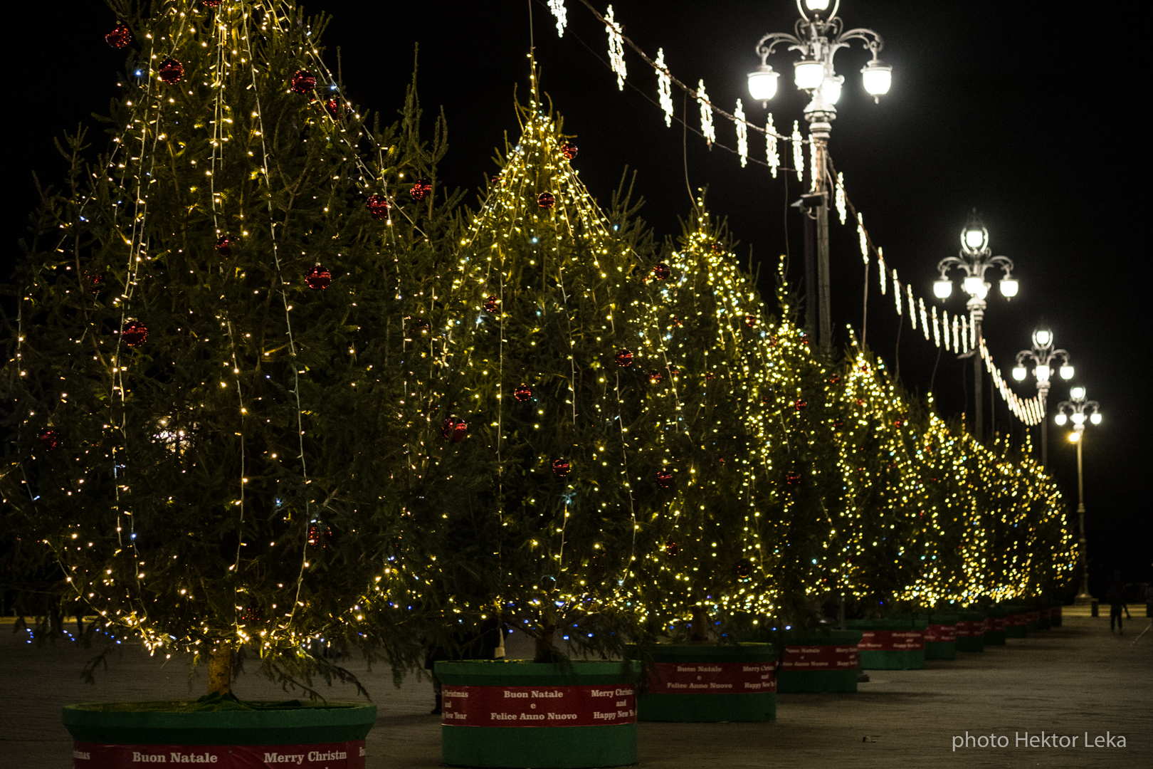 Waiting for Christmas 2016