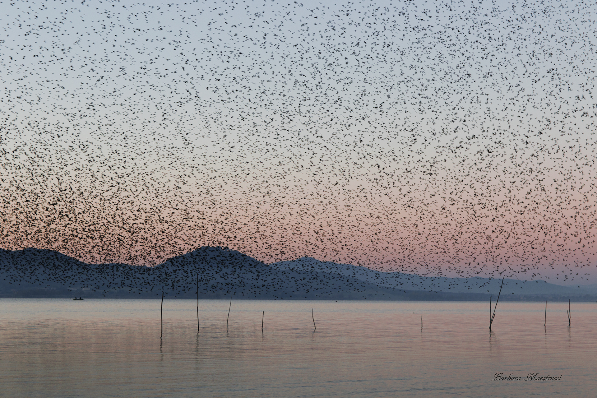 And then in a moment the sky turns' black ...