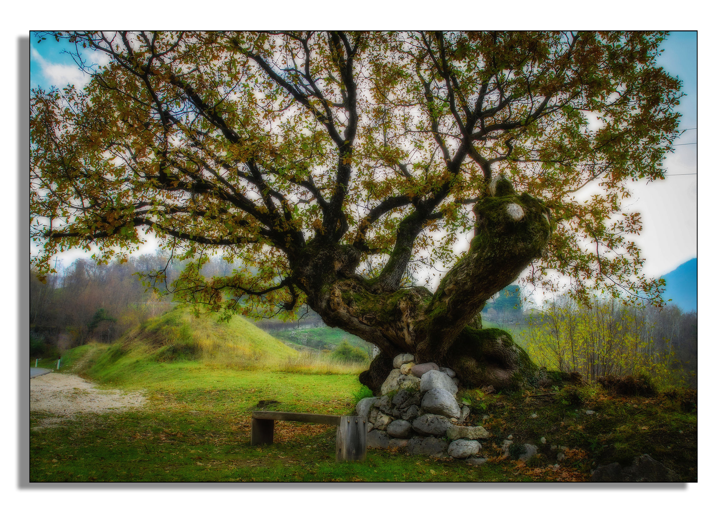 Il vecchio che aspetta