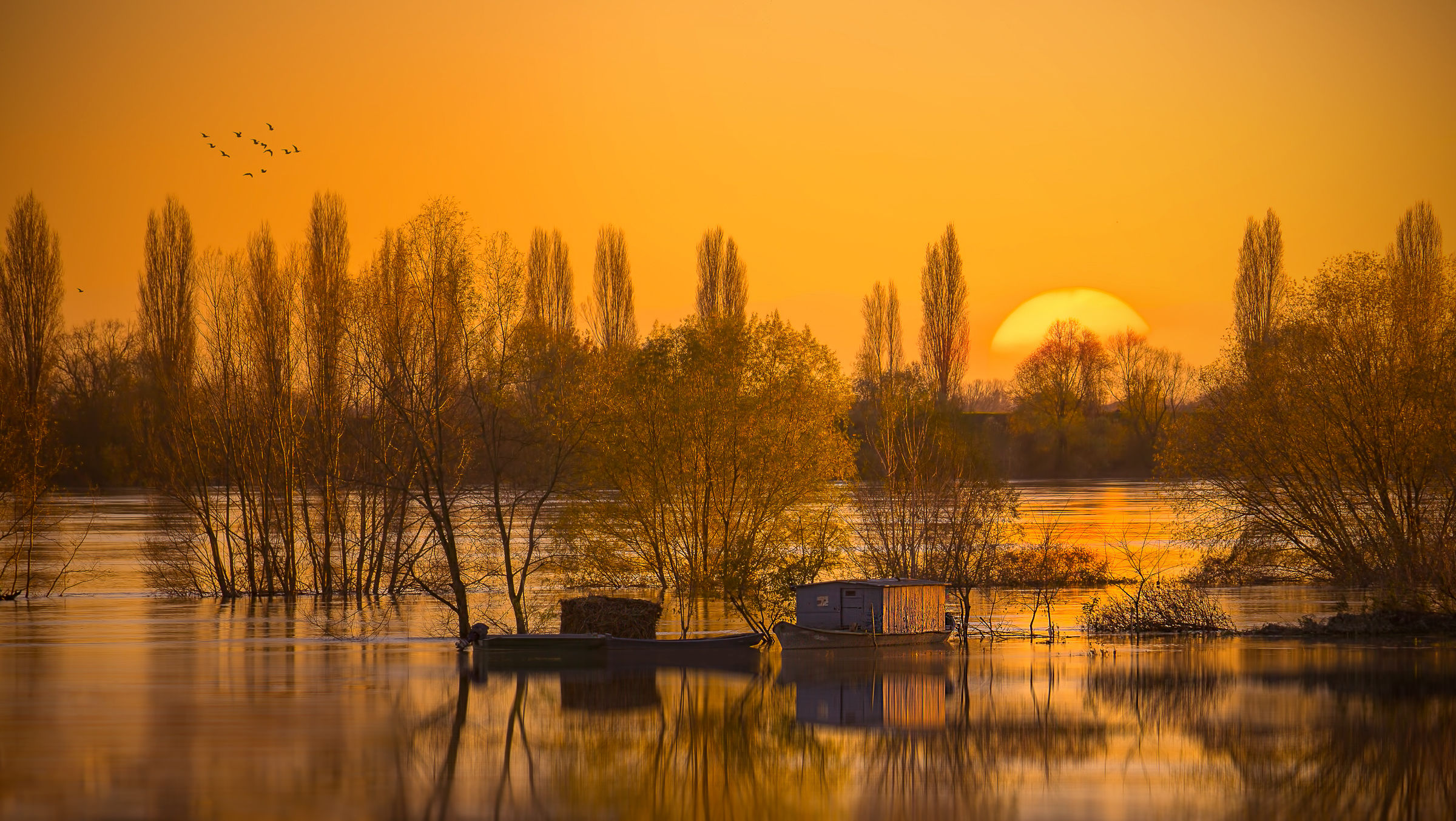Tramonto sul Po in golena nel mantovano