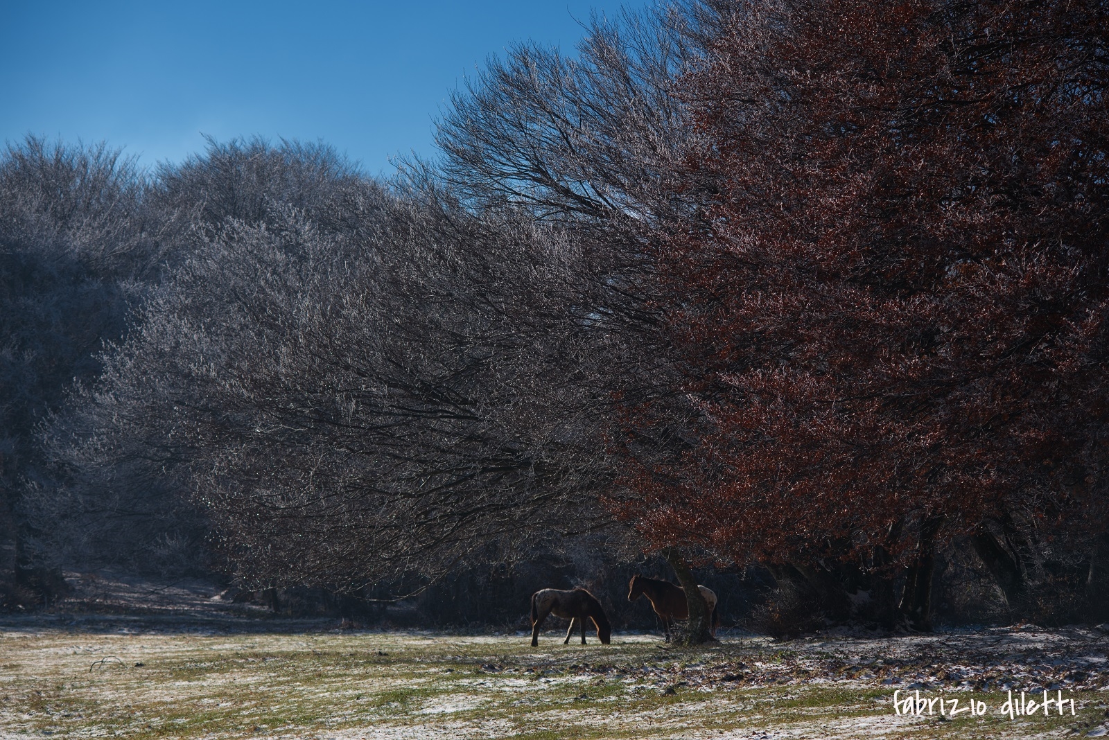 La prima neve aspettando l'inverno