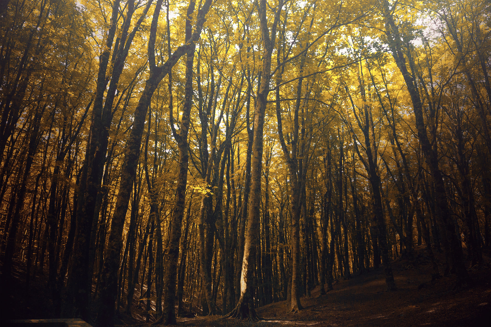 The weight of the light