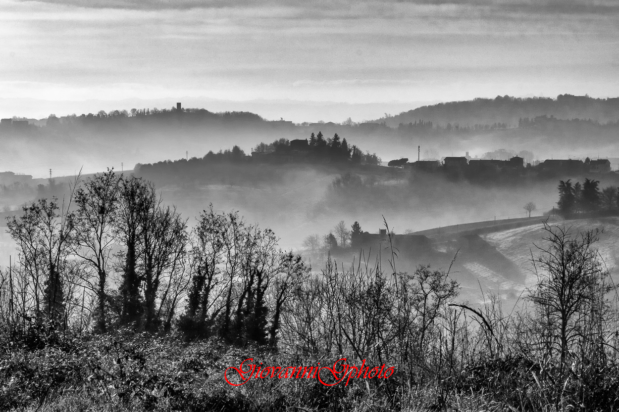 Monferrato