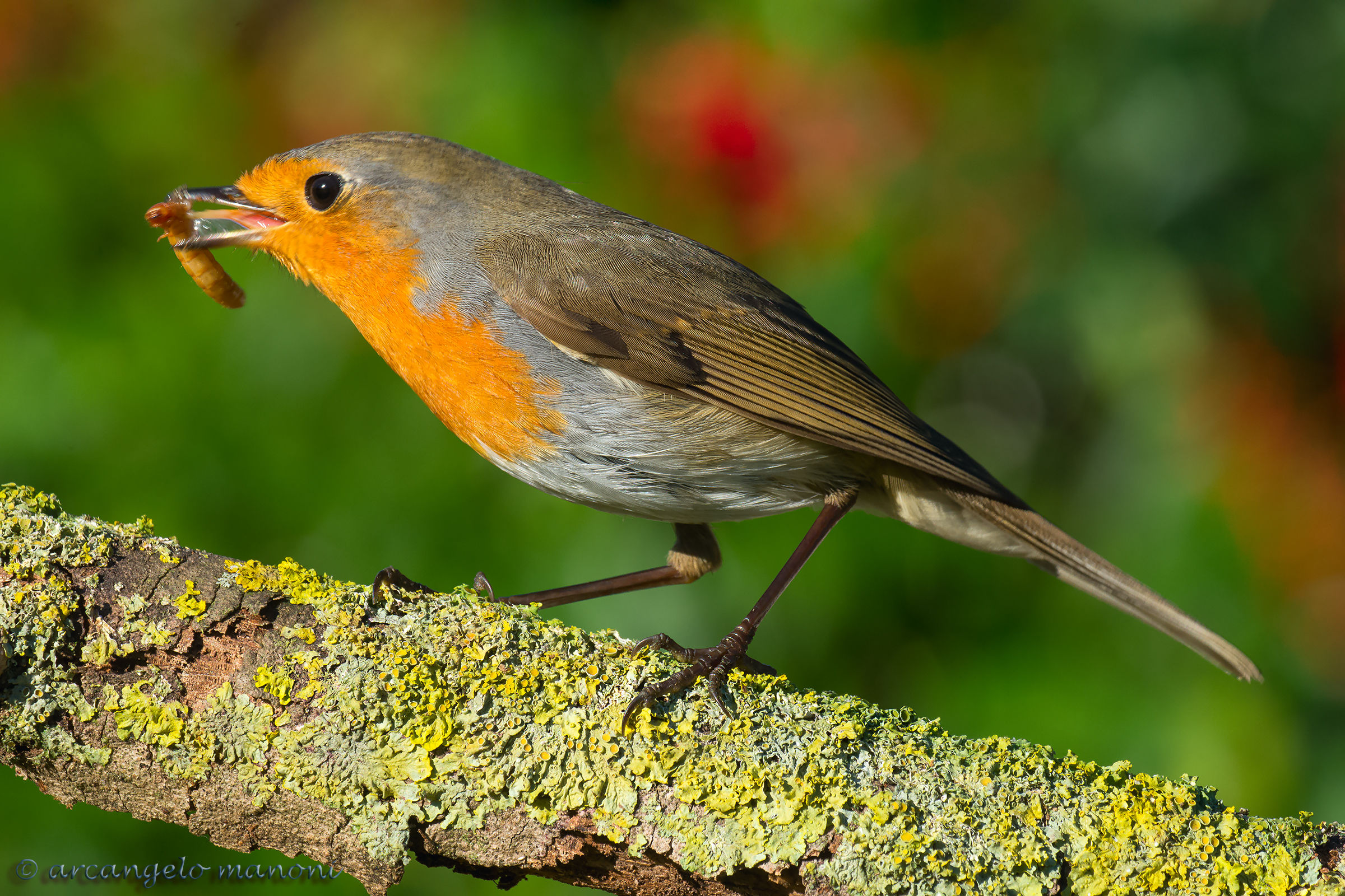 Seize the Dead Poets Society