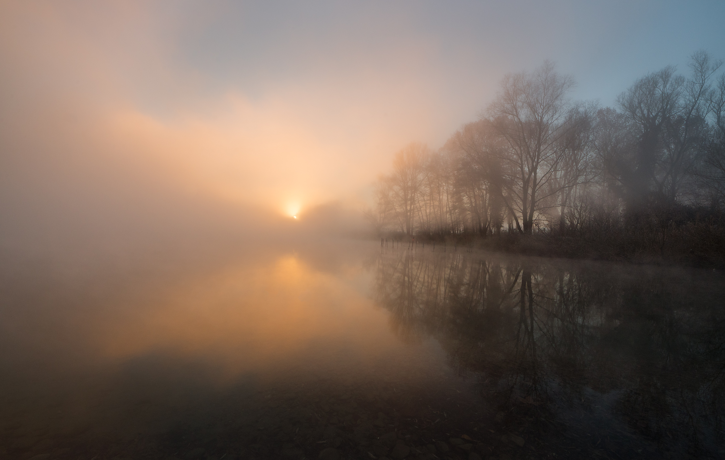 Waiting in the company