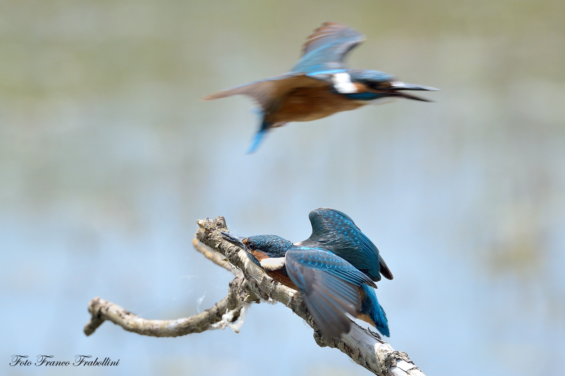 ooooohhh!! Ma dove vai!!!!