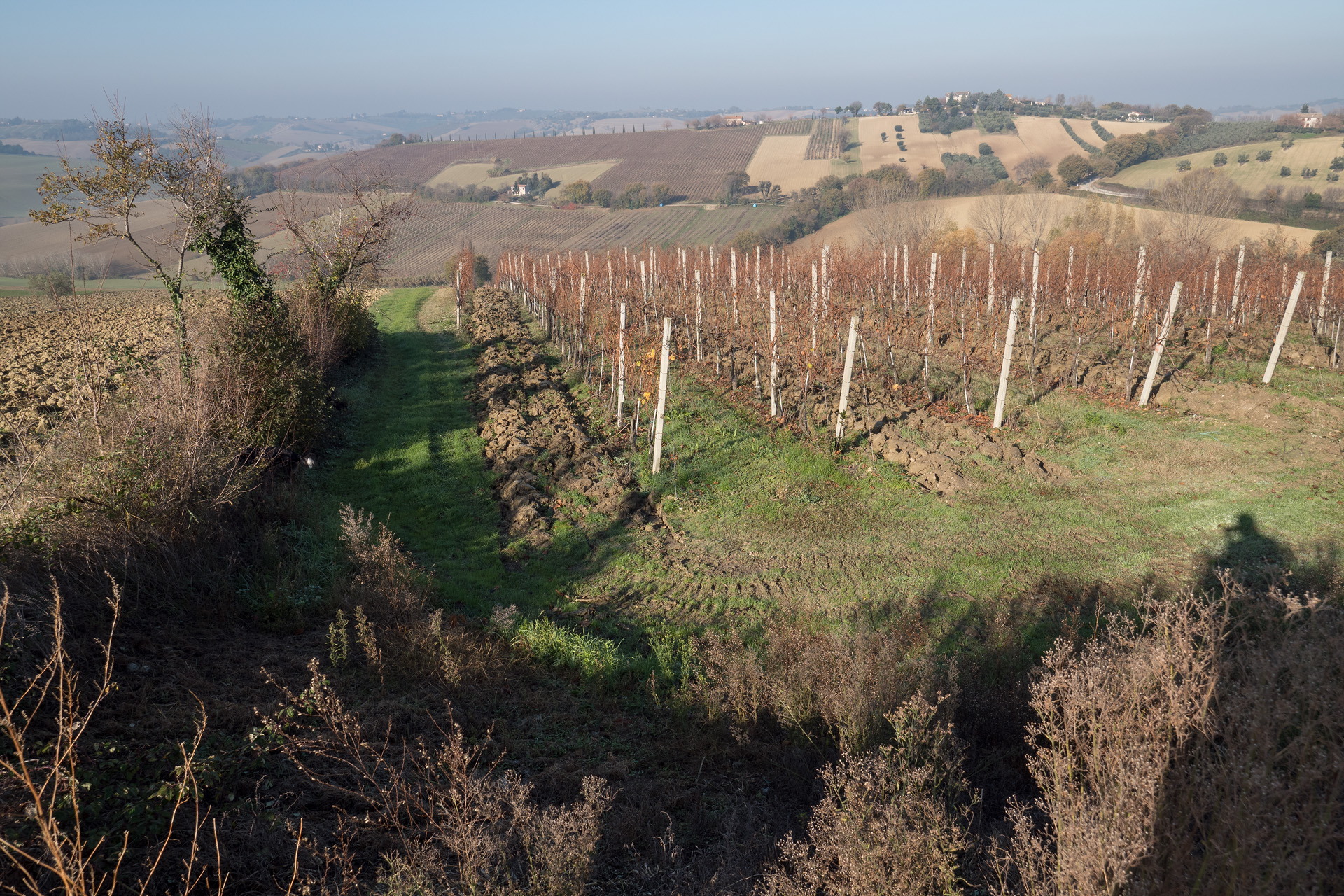 prova Olympus Pen F 1920b