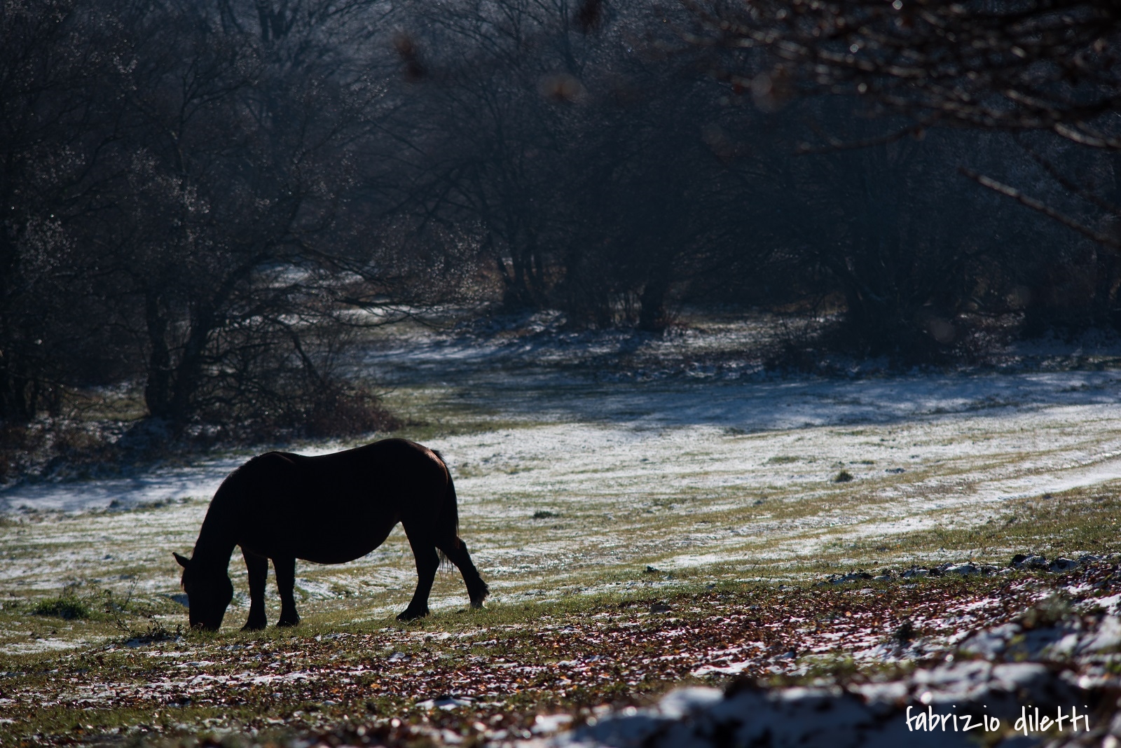 riserva naturale di canfaito