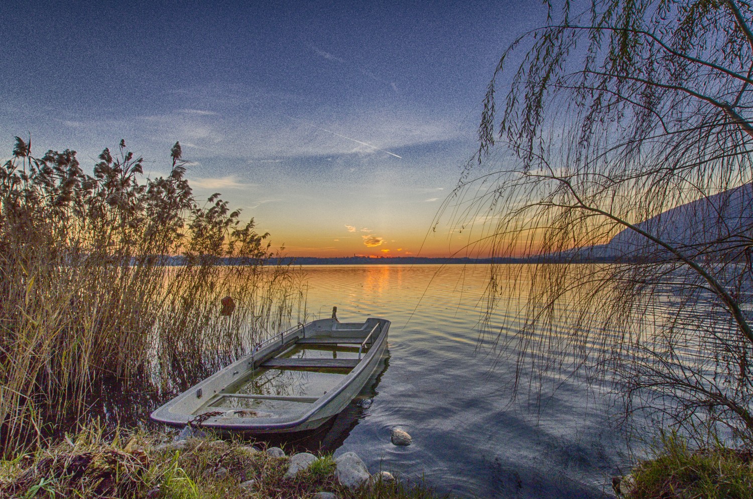 boat in the reeds