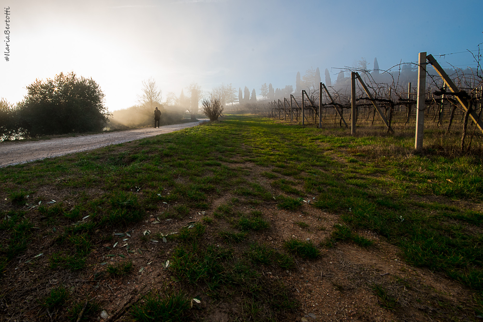 in the clouds and the rain