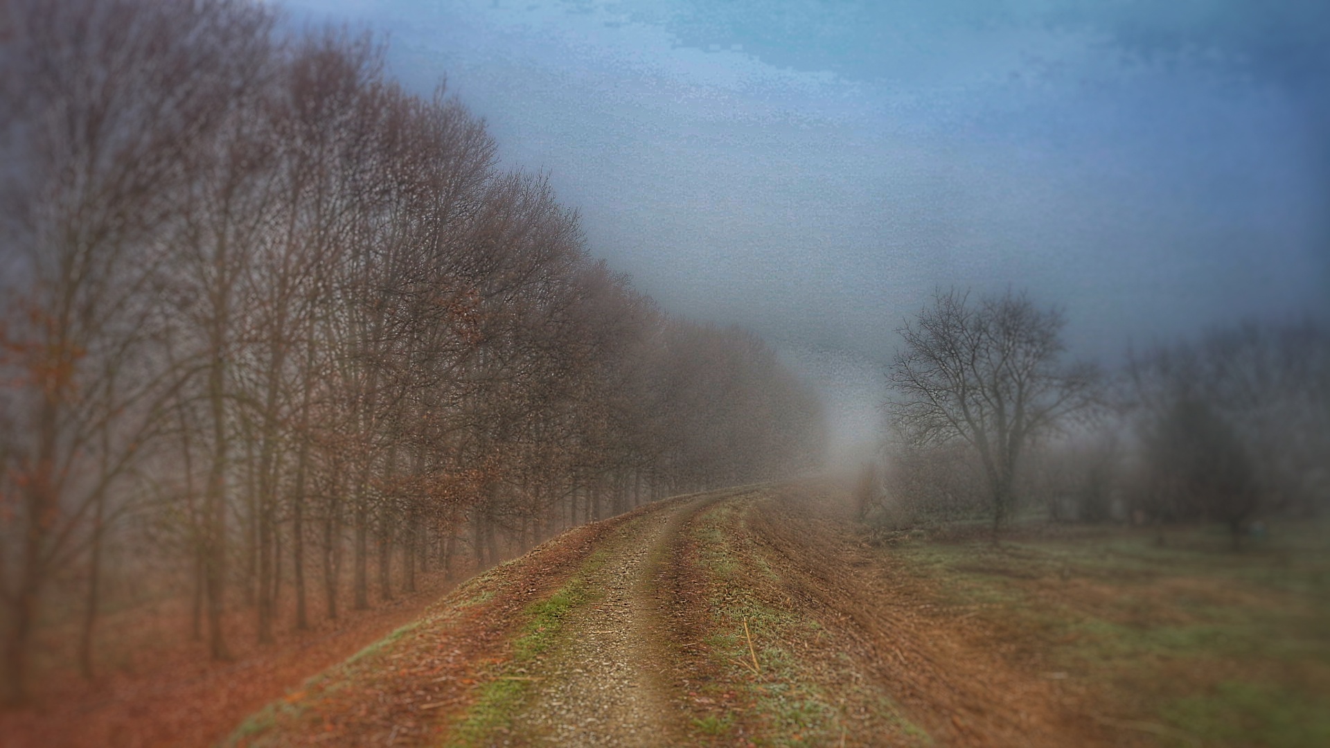 ..walking in the Fog..