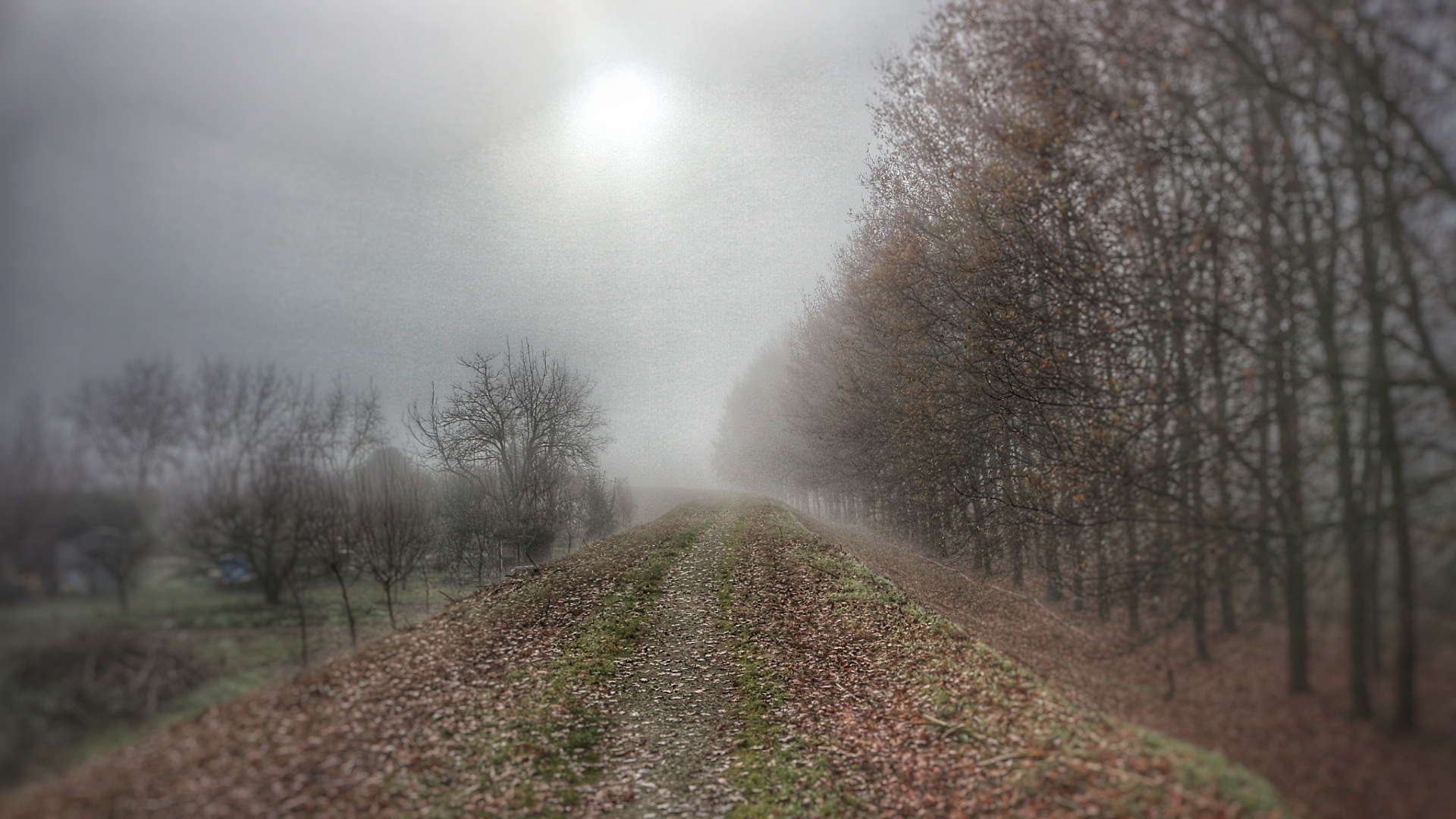 ..walking in the Fog to return..