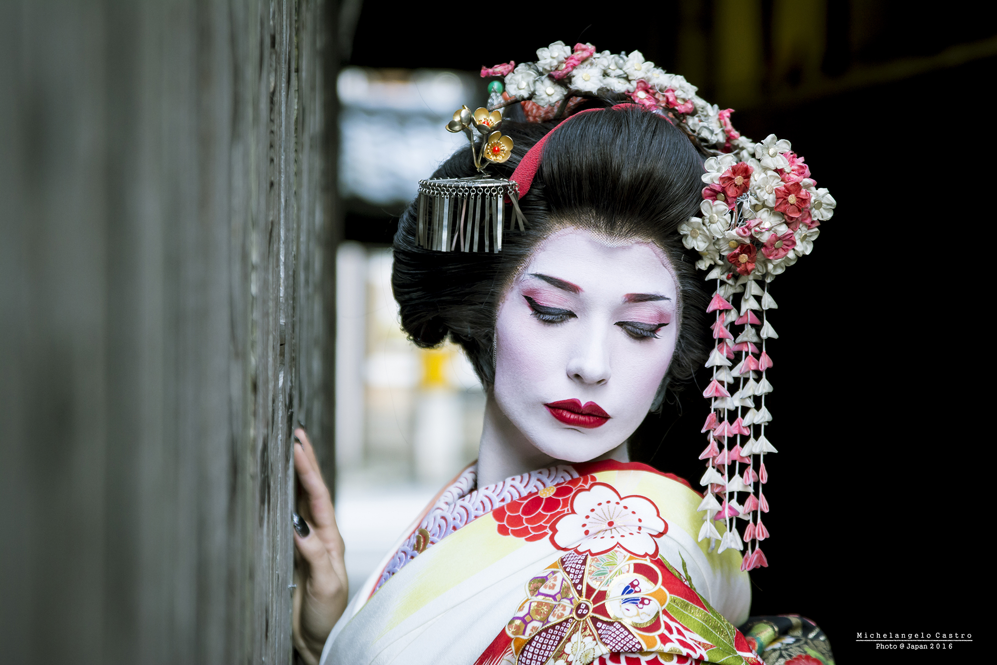 Japan Geisha occidentale