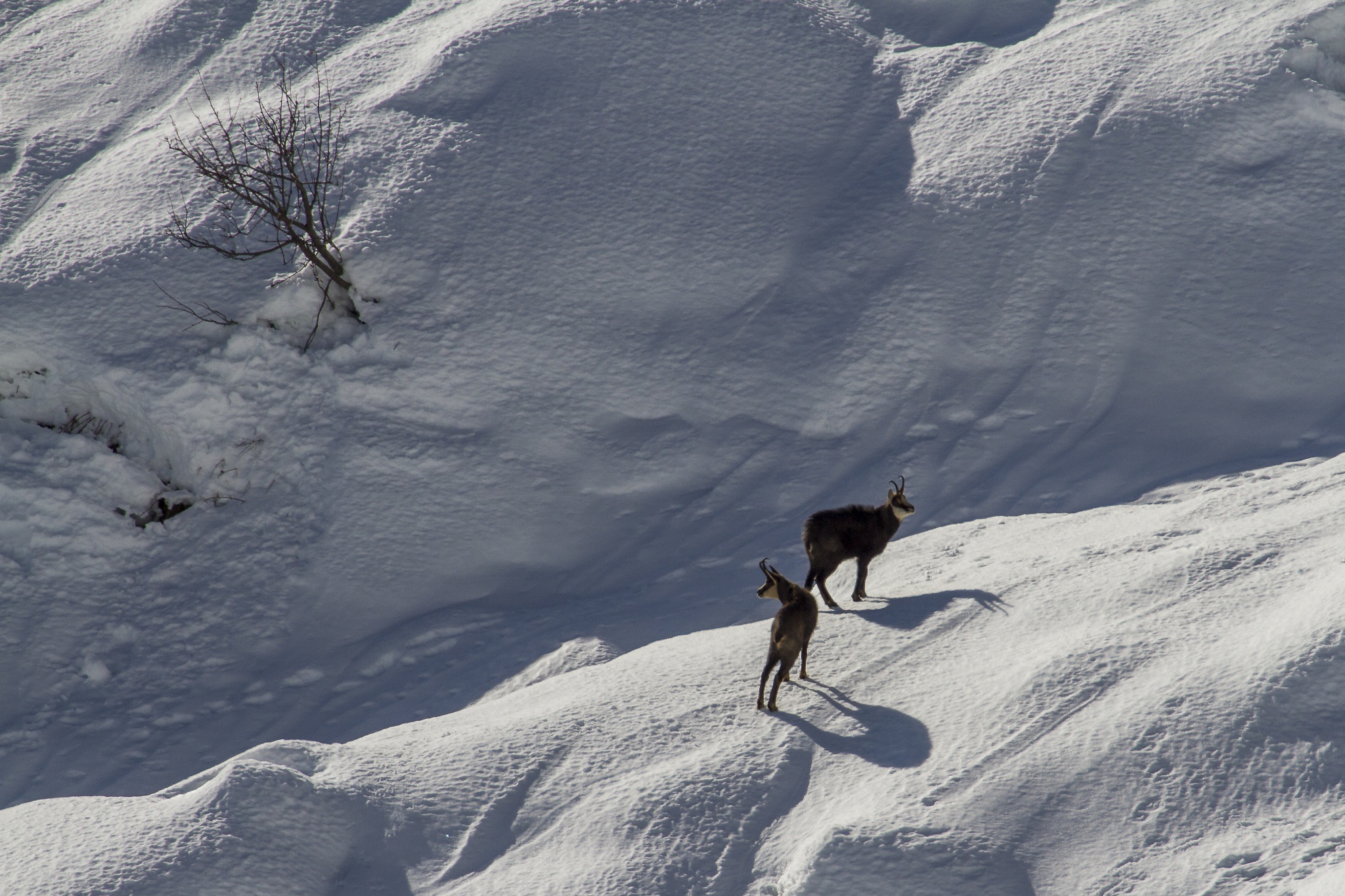 L'inverno è arrivato