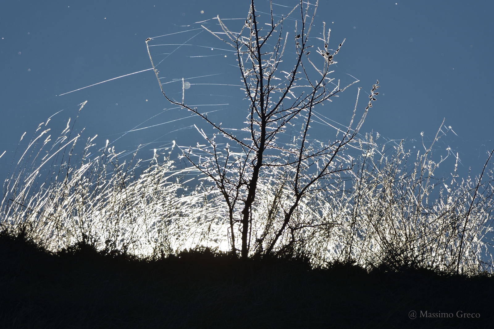 Il sole dietro il crinale