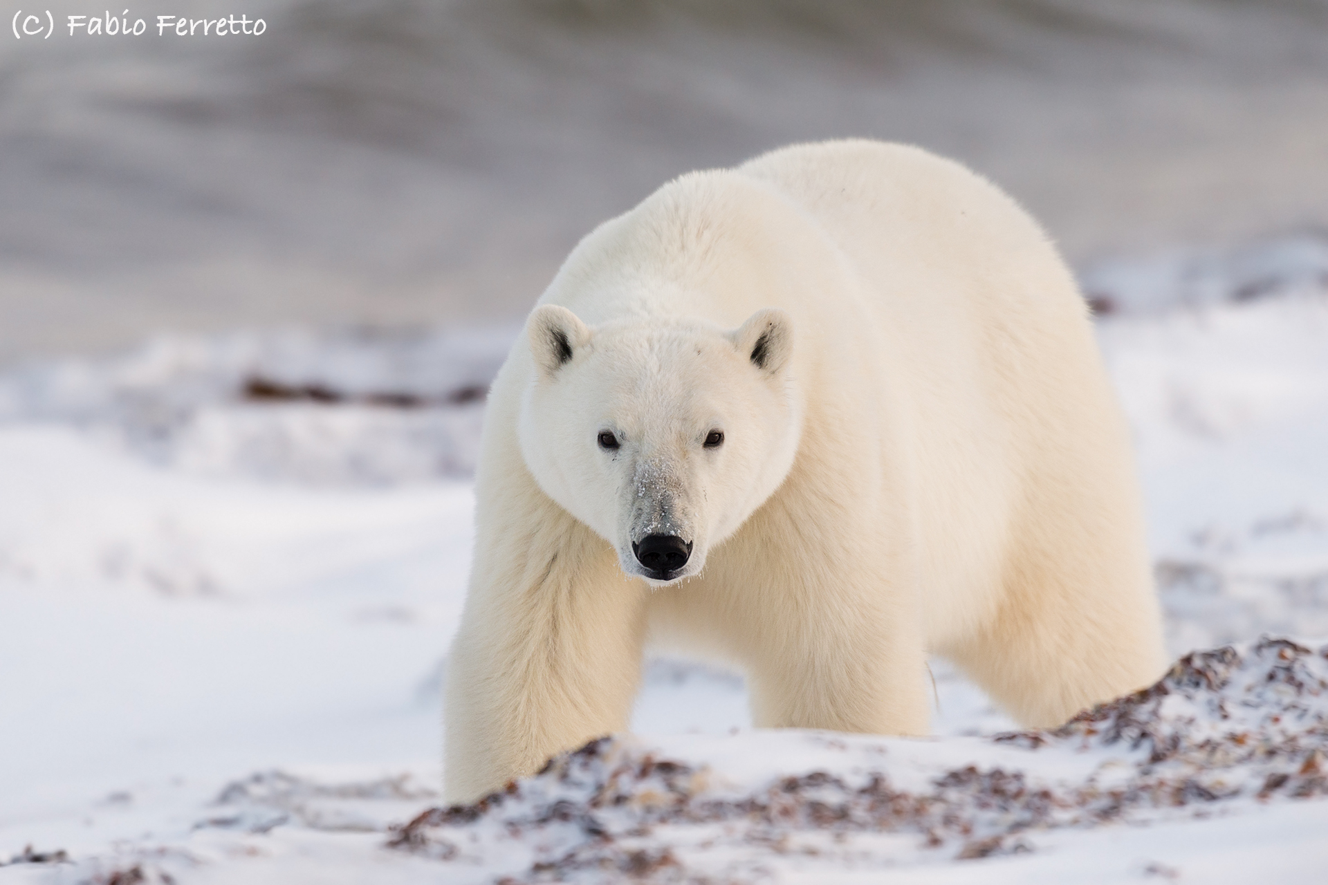 Il primo incontro...
