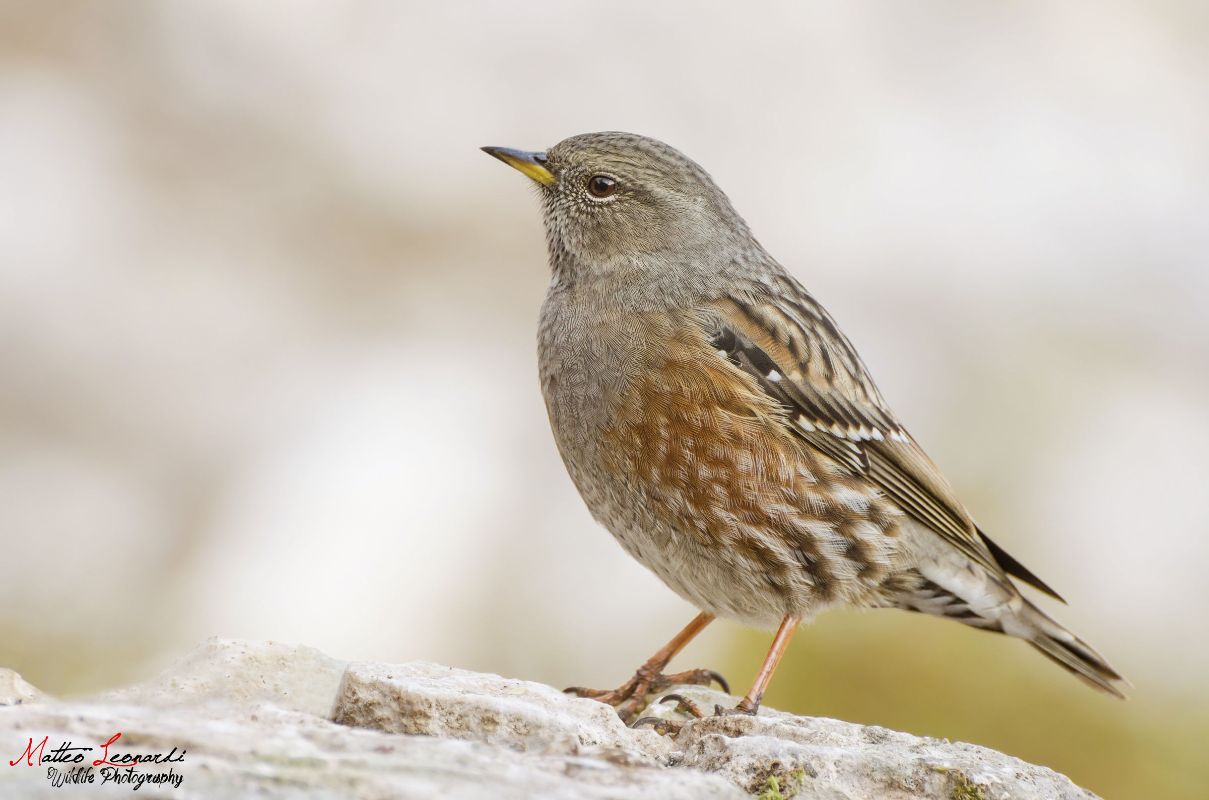 Sordone - Apuan Alps