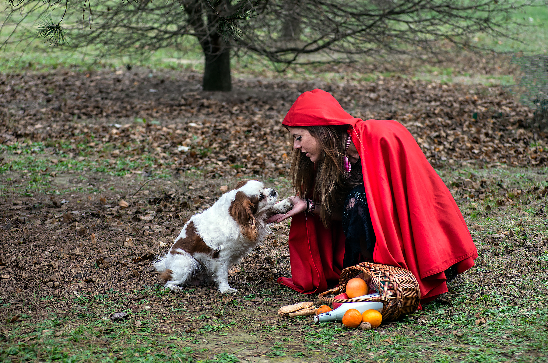 Riding Hood and the Wolf ..........