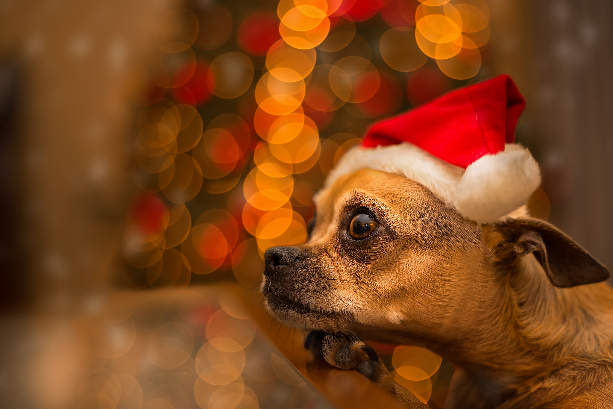 Waiting for Christmas