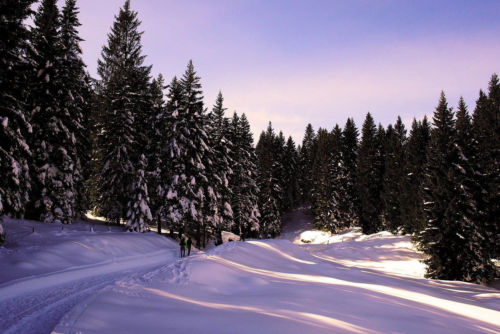 Centro Fondo Campolongo - Asiago