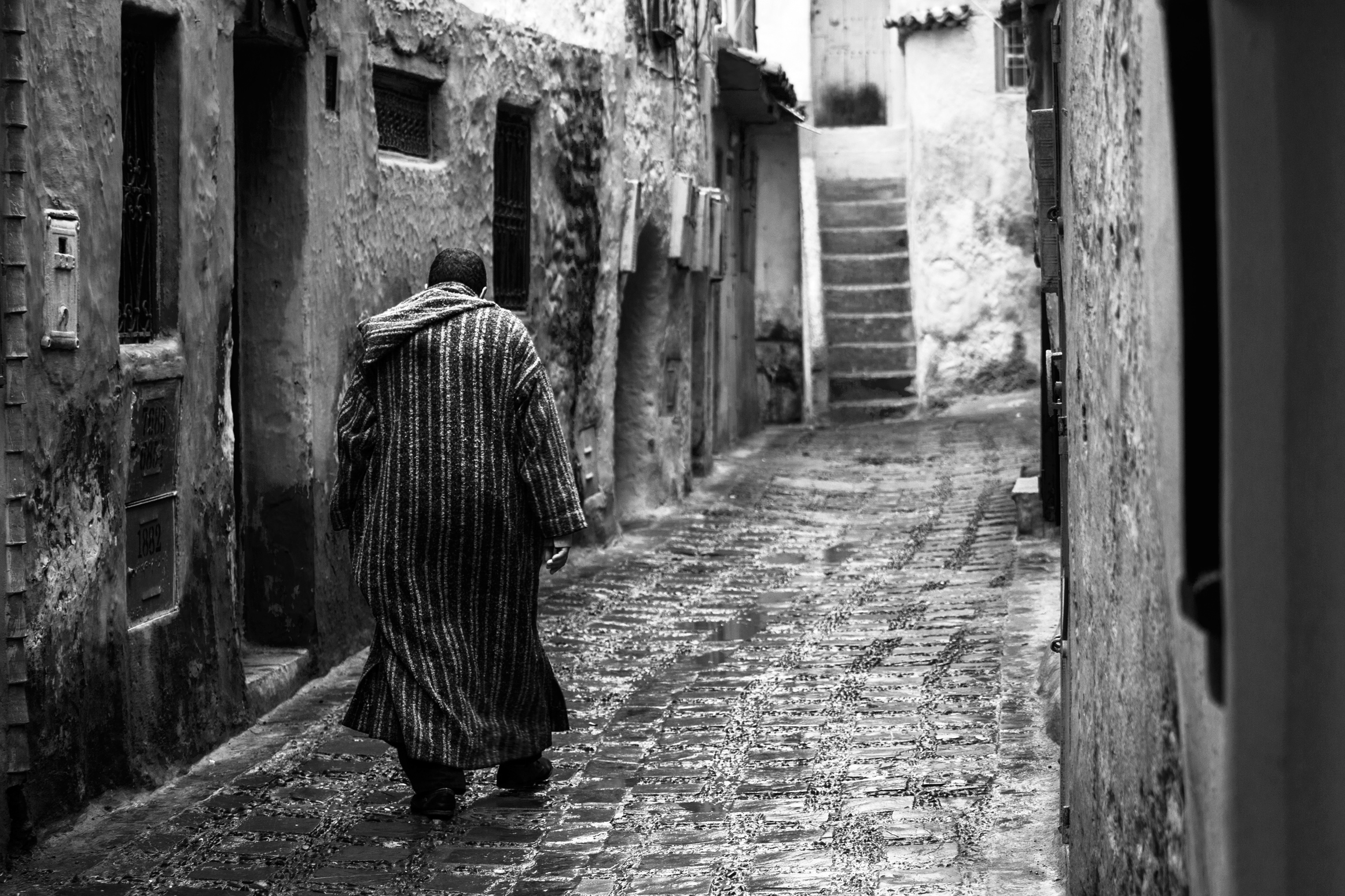 Bianchenneri del Marocco II