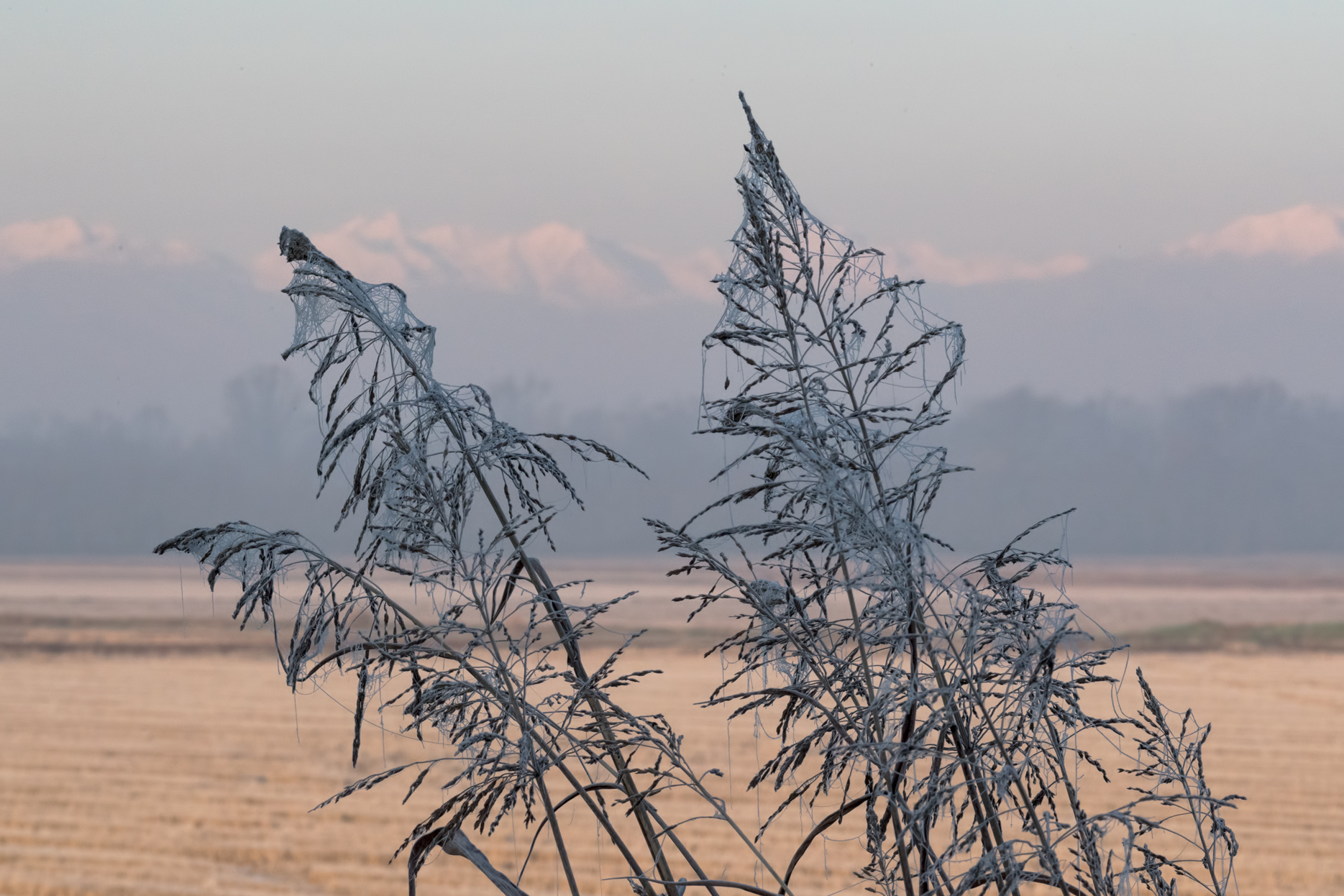 le prime brinate alle porte dell'inverno novarese