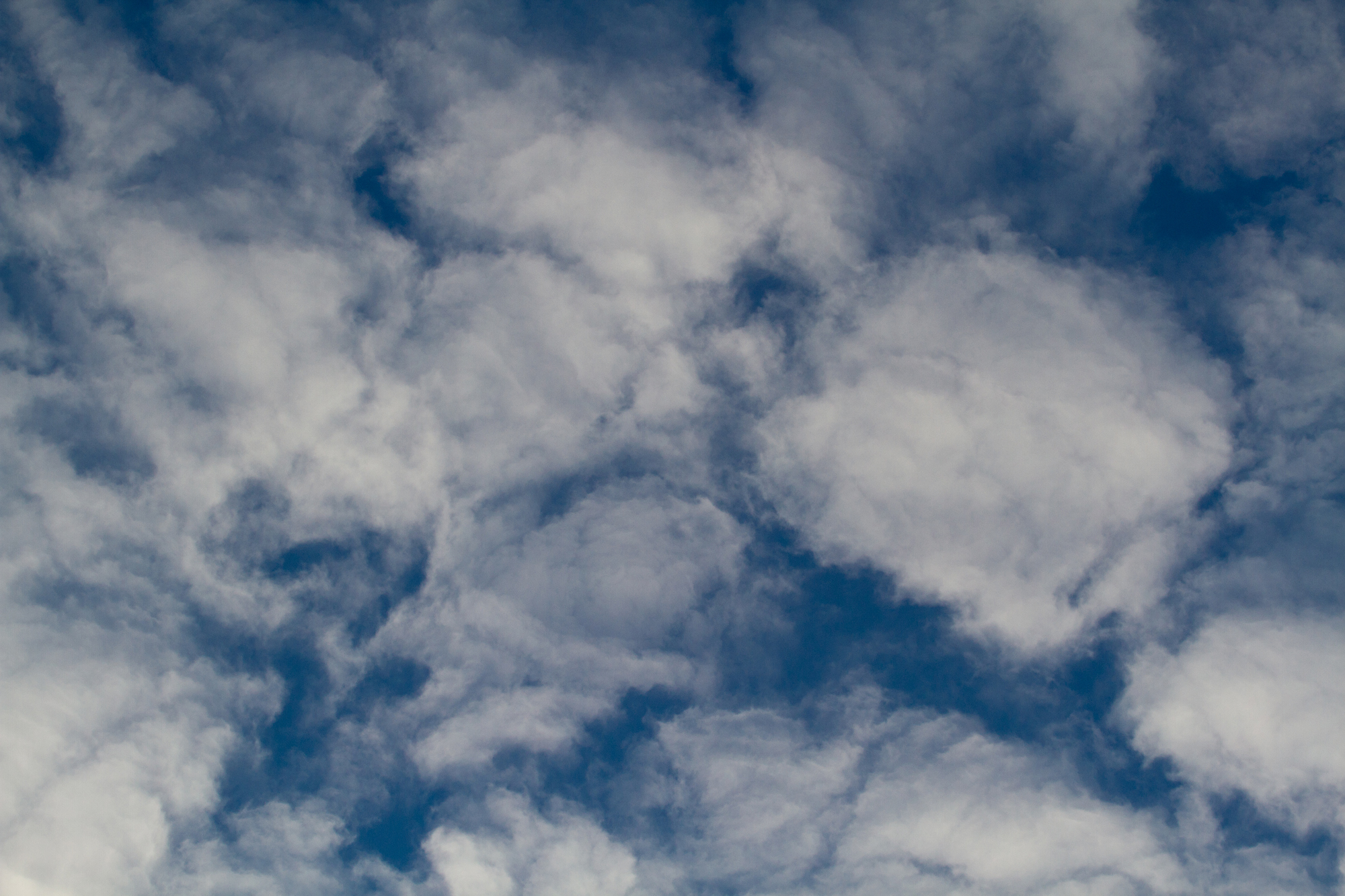 Altocumulus floccus perlucidus