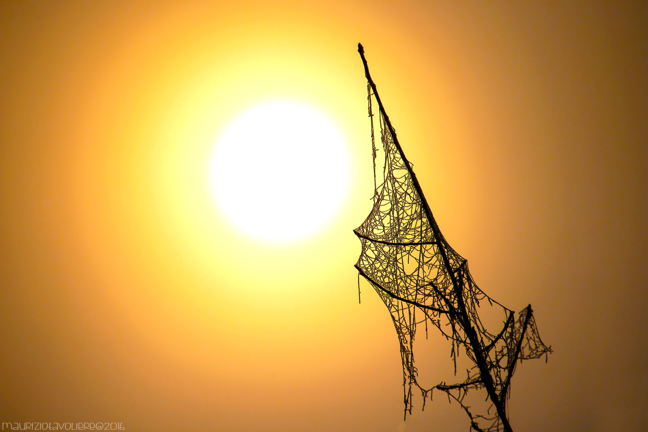 Il Vascello pirata ..