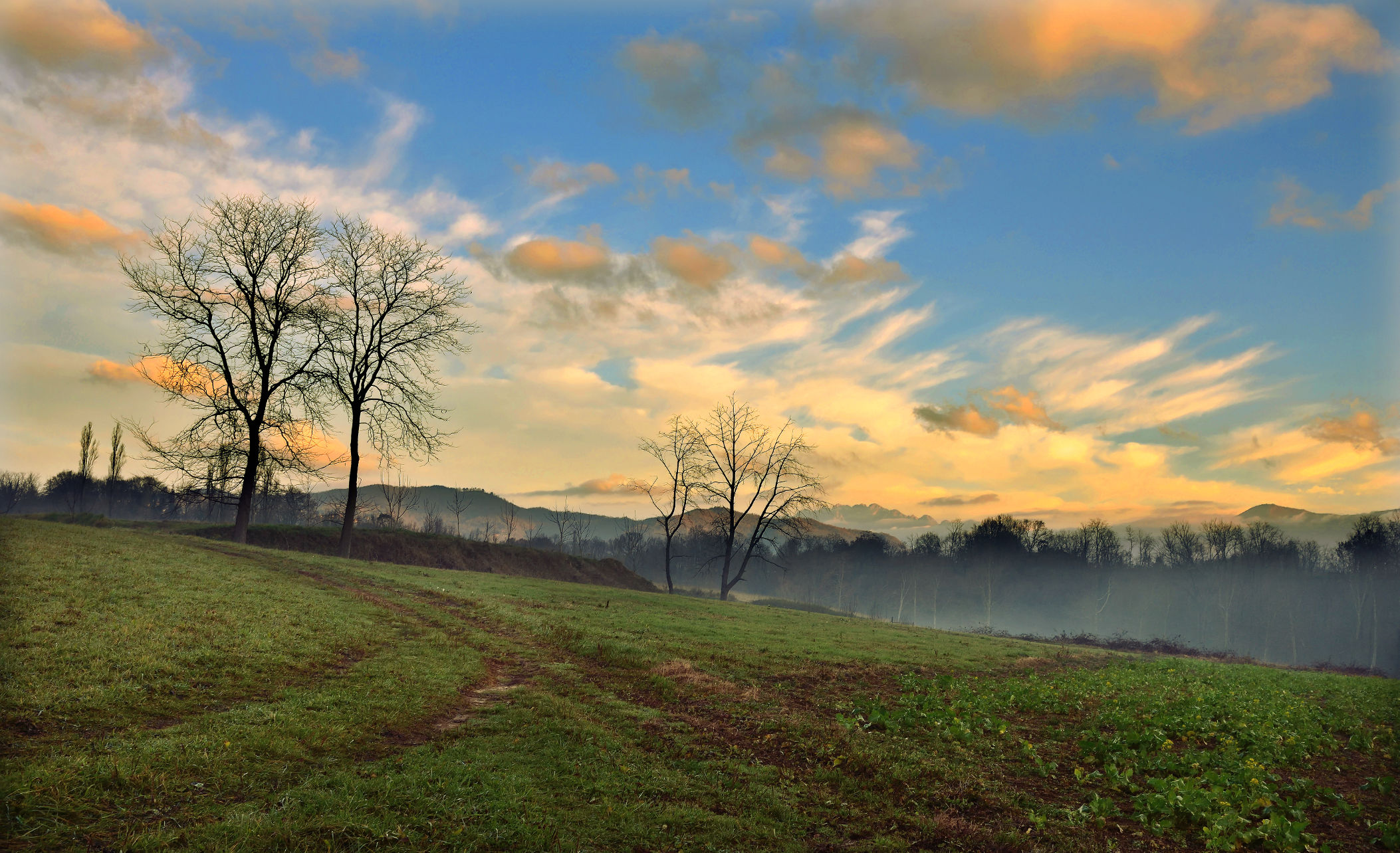 Morning in the Countryside