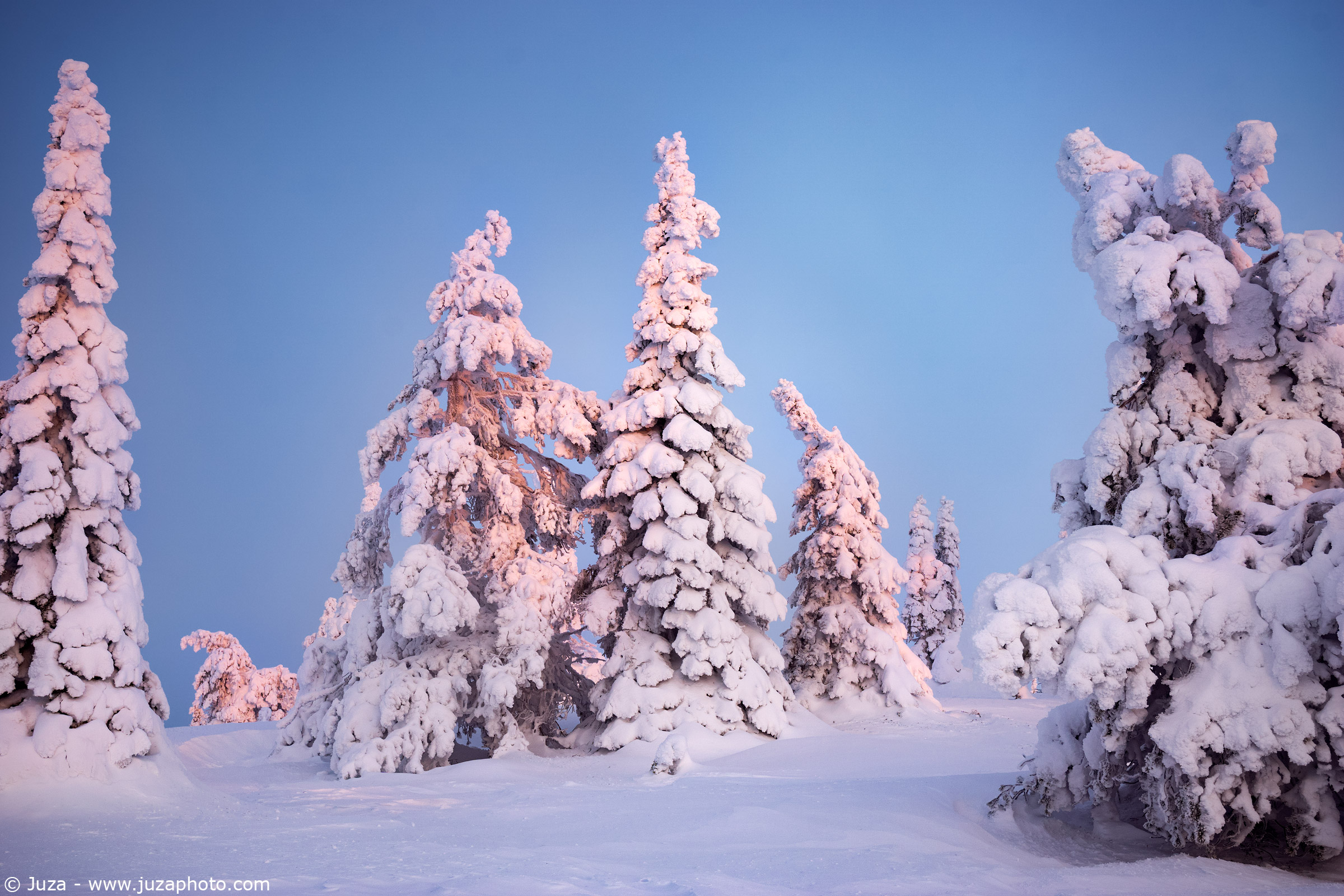 Riisitunturi, la foresta ghiacciata