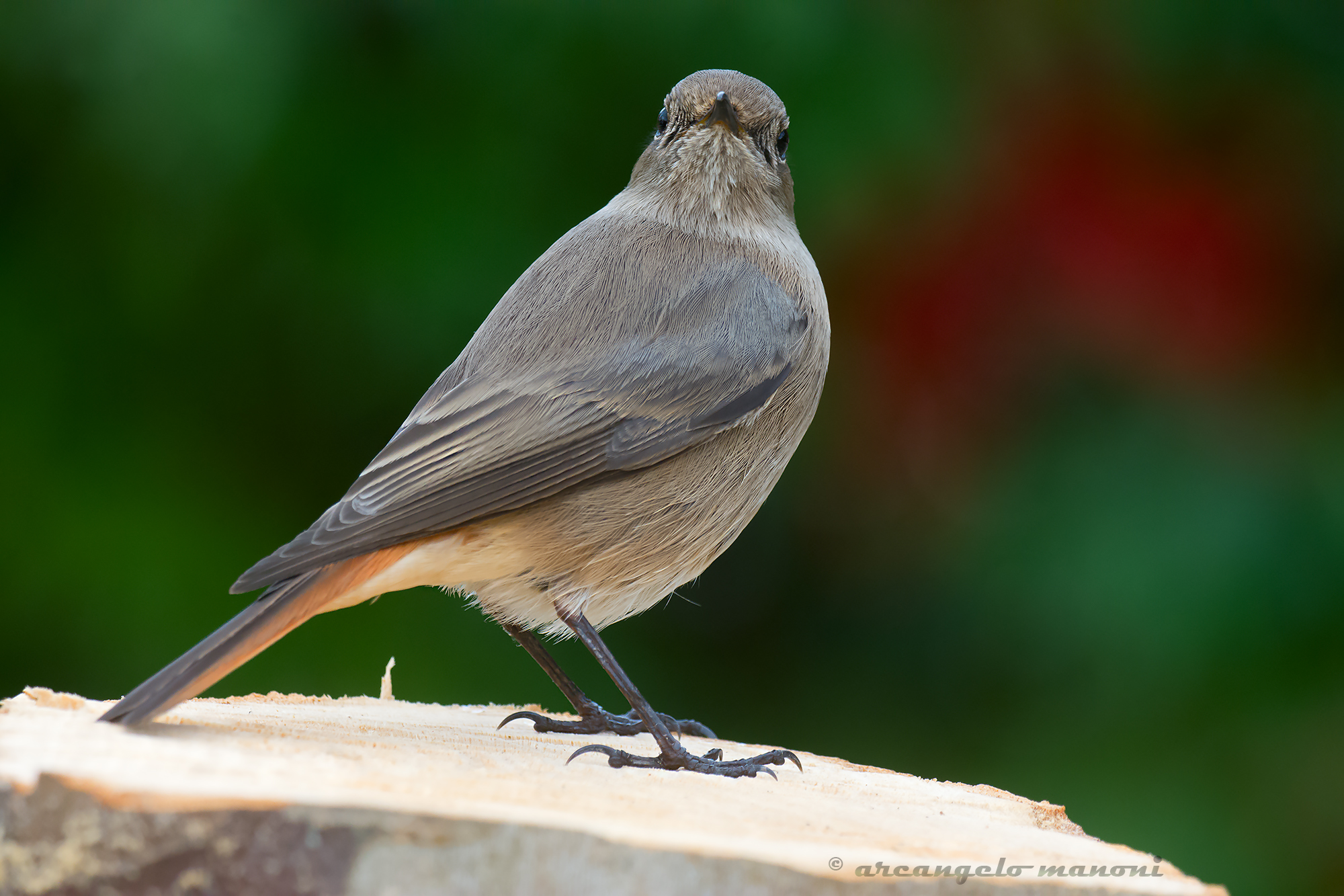 With his eyes in the room