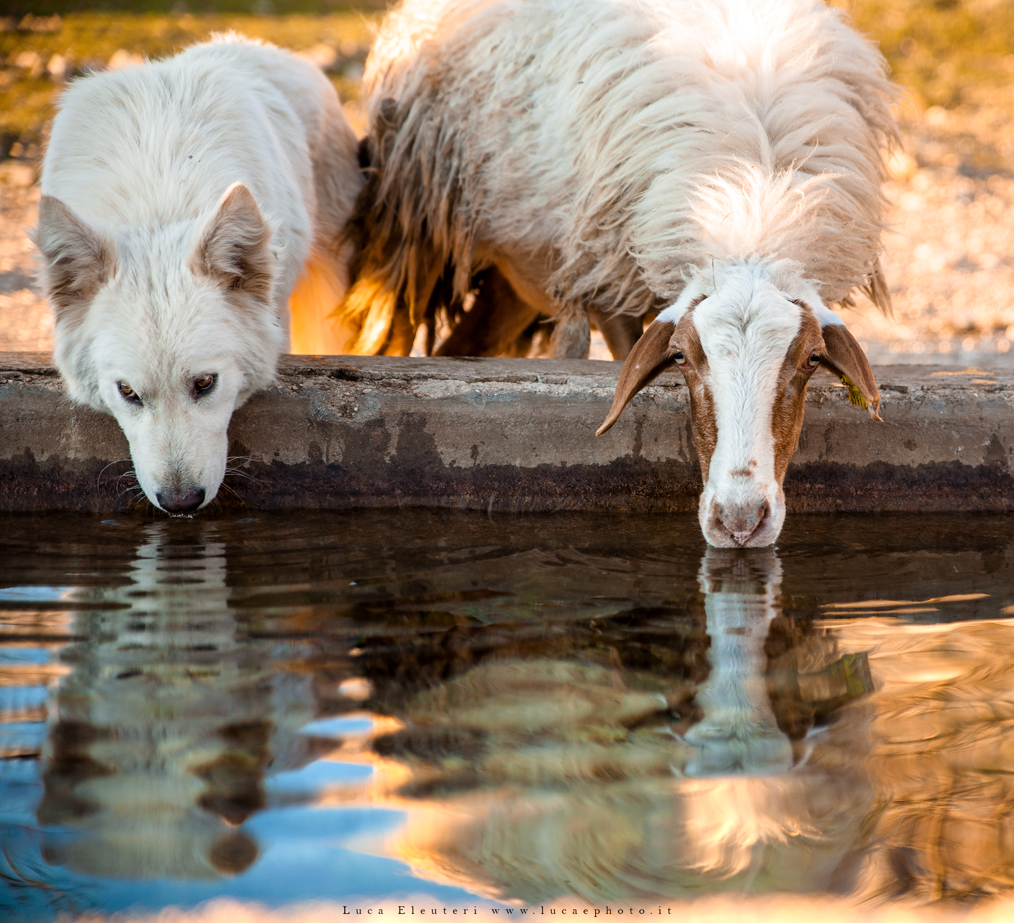 Nelfrattempo in Abruzzo
