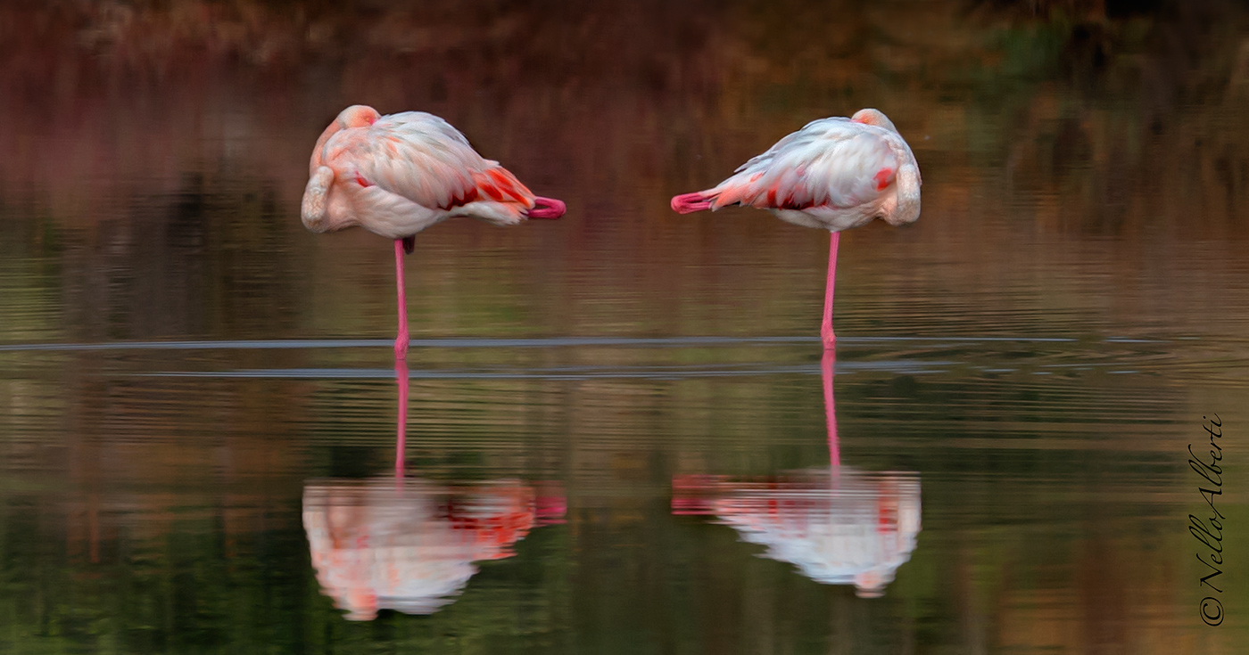 symmetries in the lagoon!