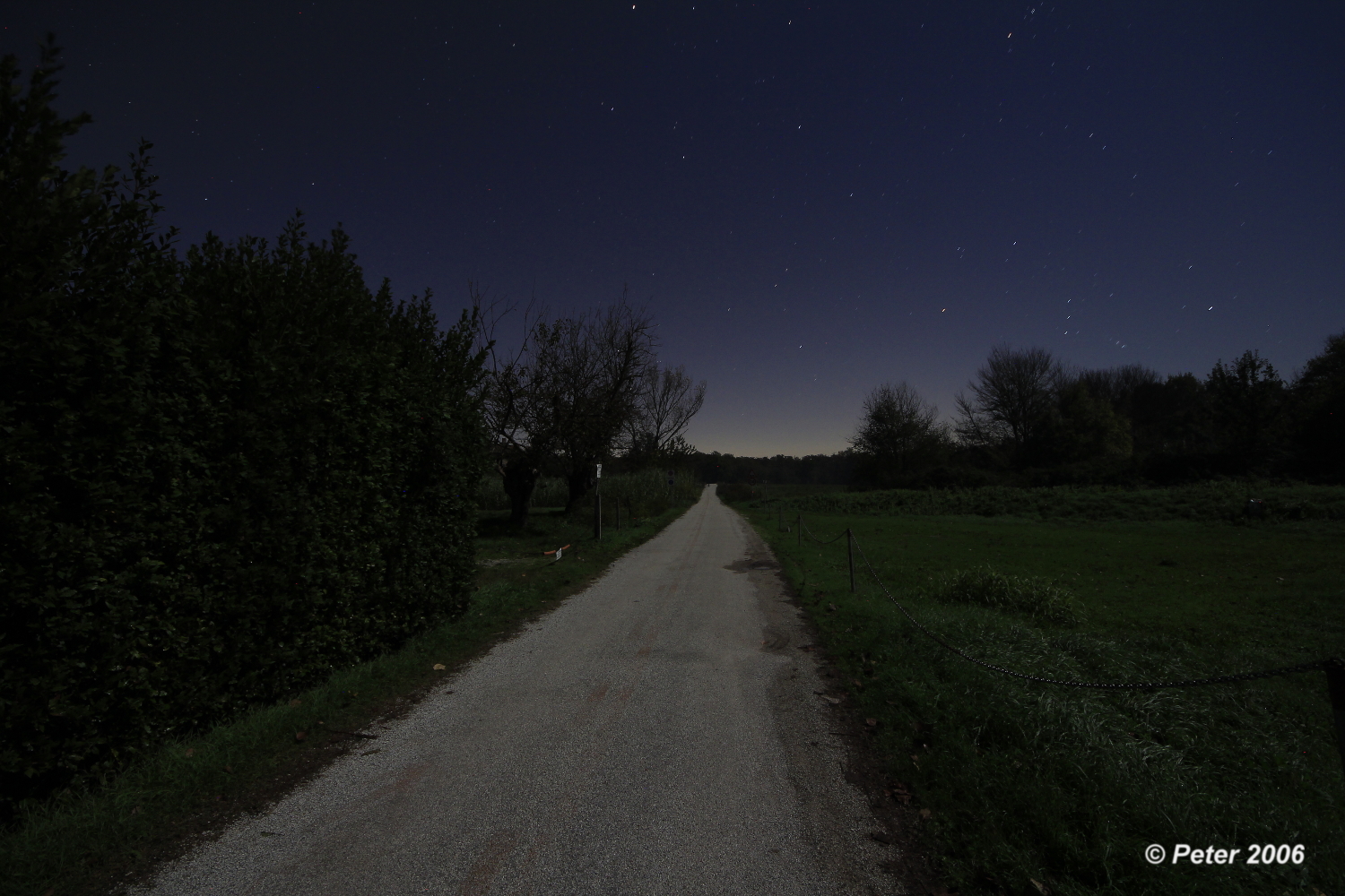 La via al lume di luna