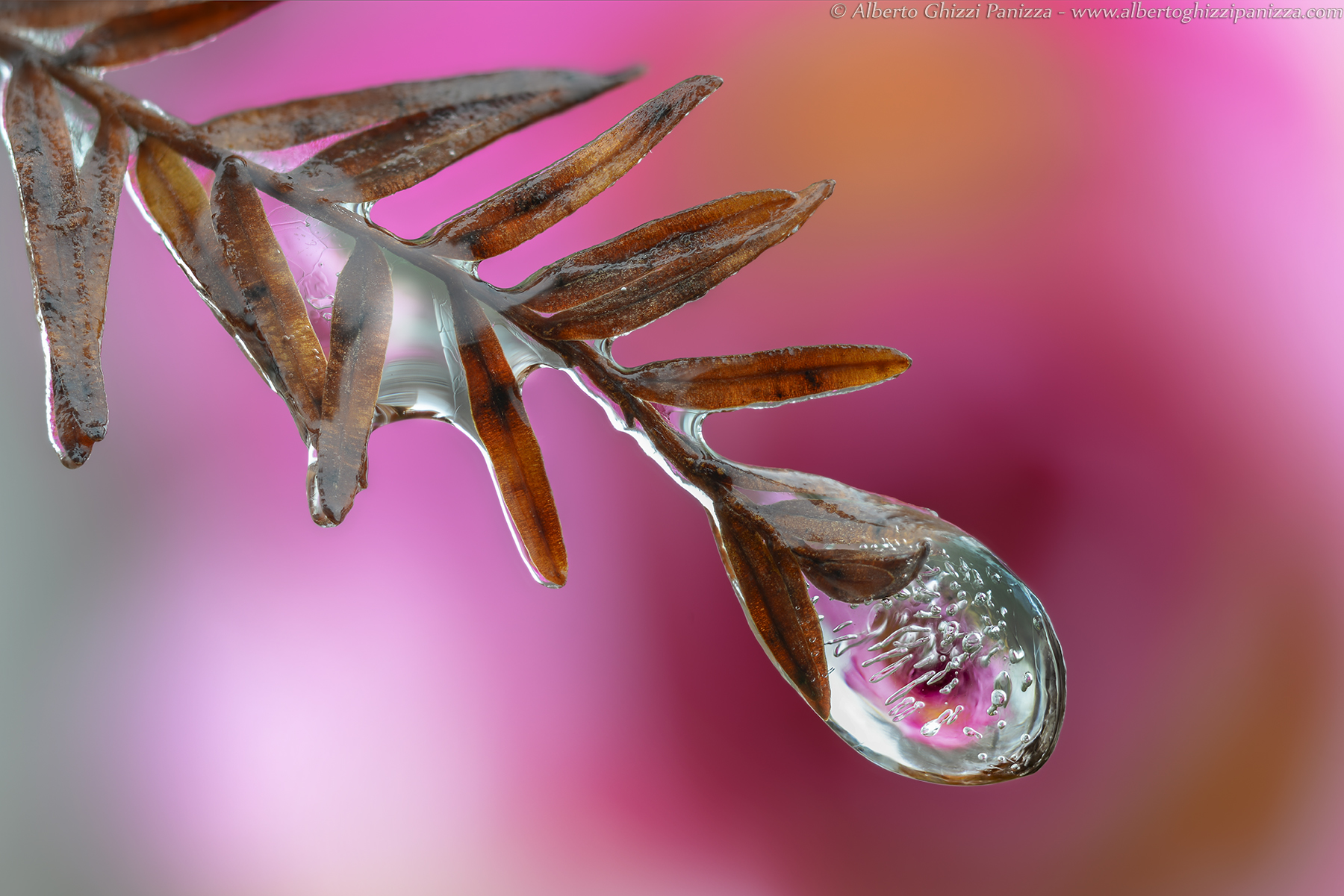 Among the colors of the ice