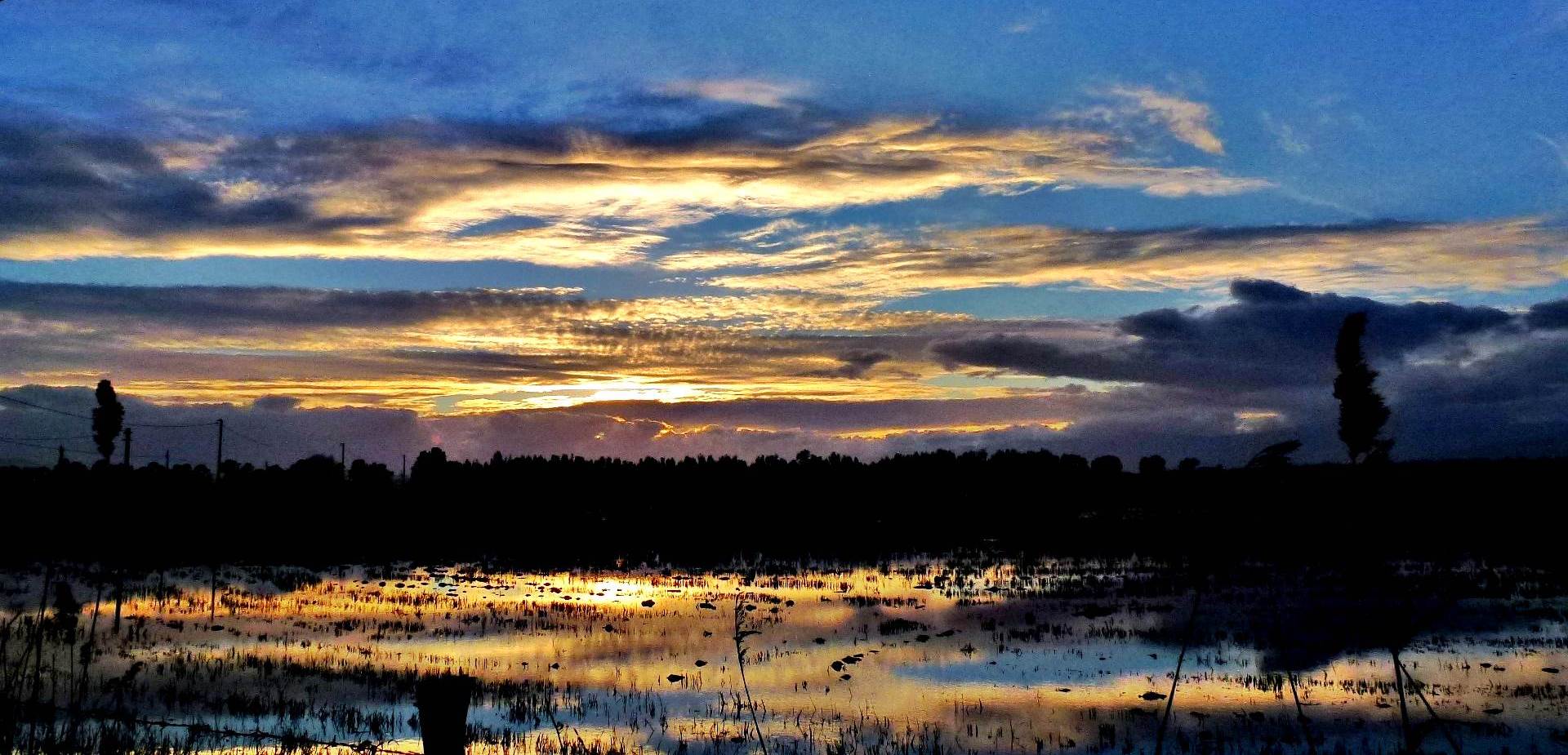 Reflections on the swamp in the plain of Sybaris