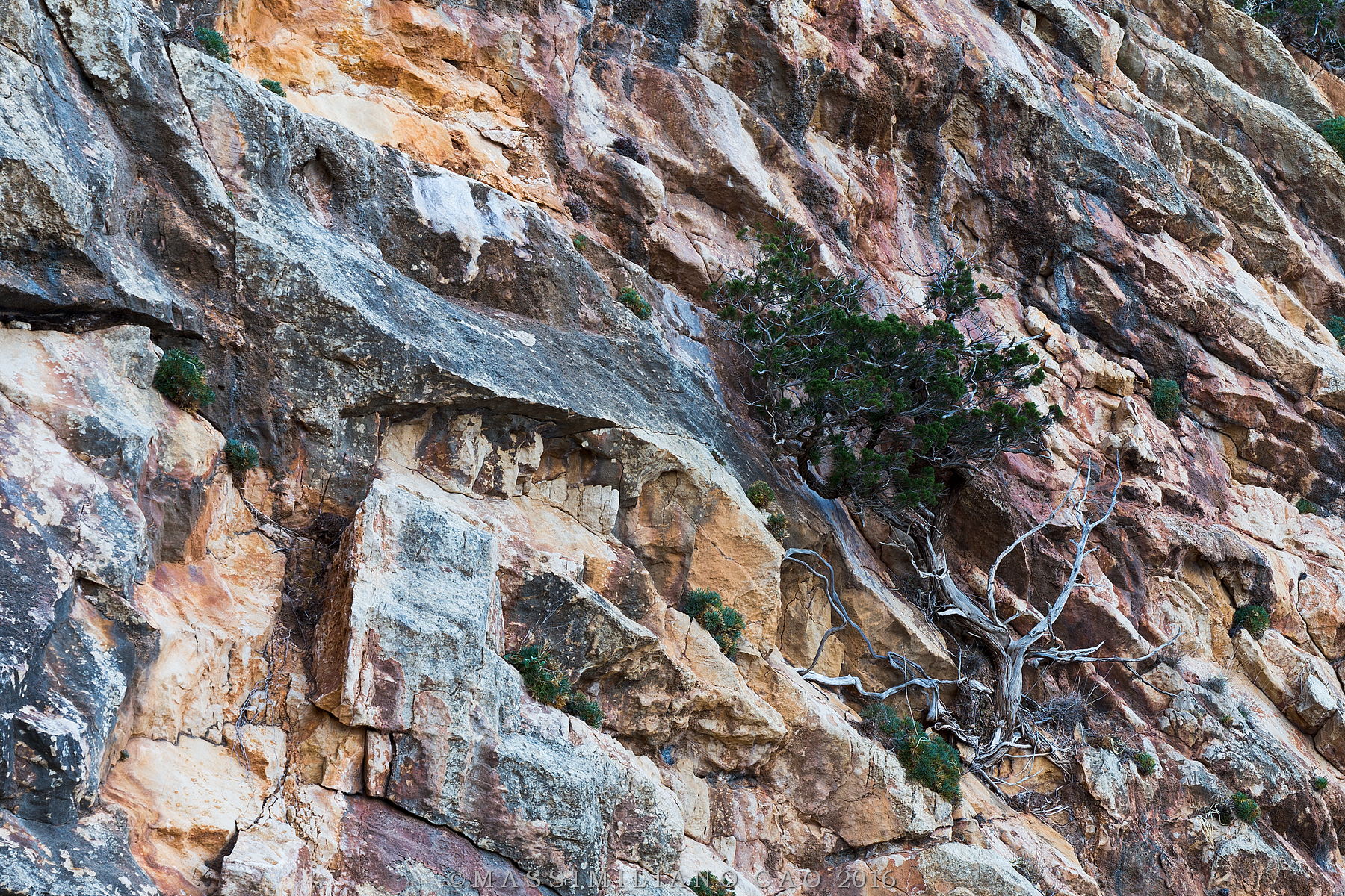 Come un esperto scalatore