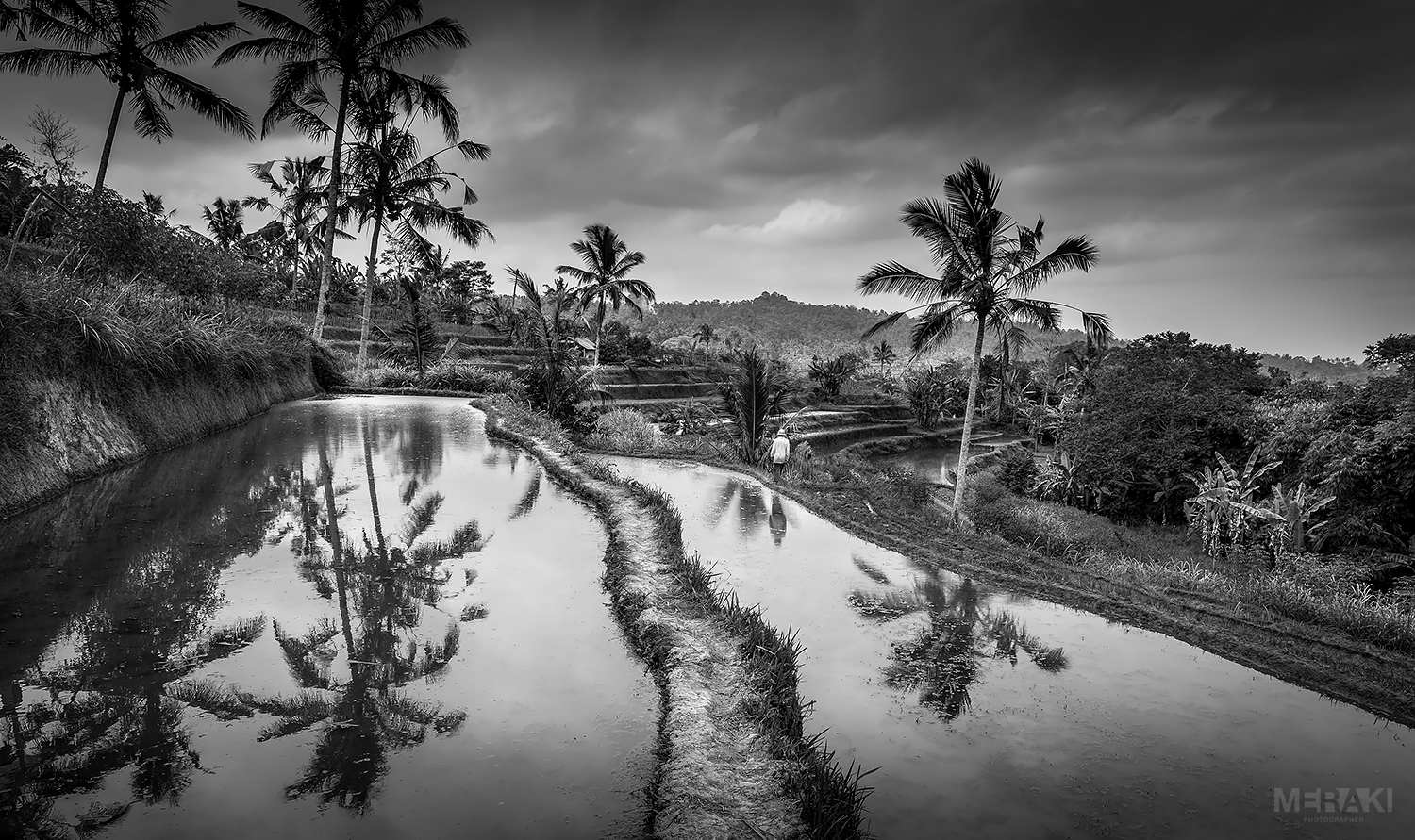 Bali Rice Terrace